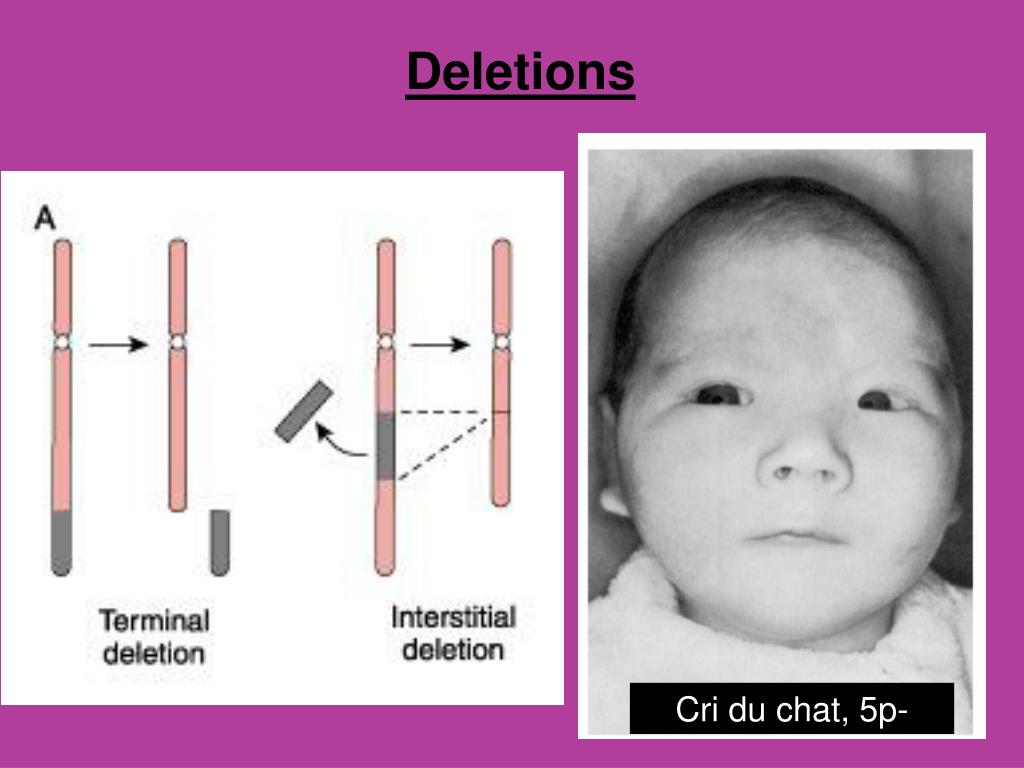 PPT MUTATION & DISEASE PowerPoint Presentation, free download