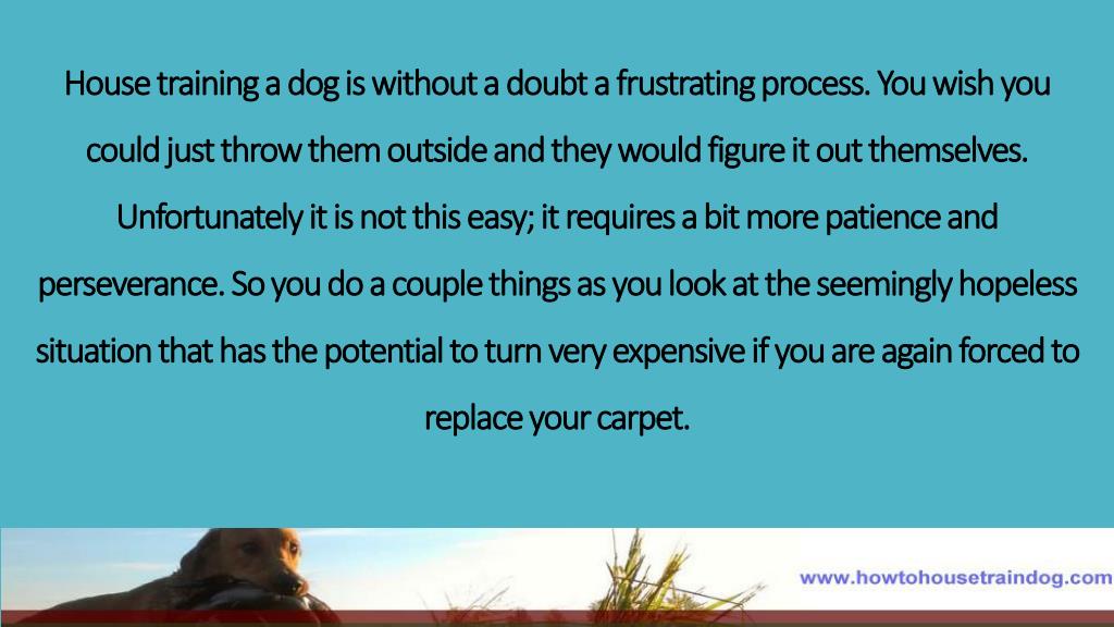 PPT House Training A Dog The Simple Way PowerPoint Presentation