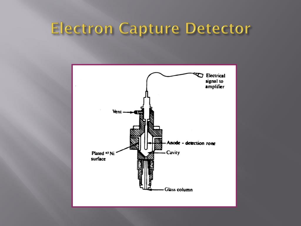 PPT GAS CHROMATOGRAPHY PowerPoint Presentation, free download ID