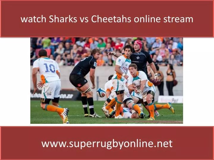 PPT Sharks rugby Live on TV PowerPoint Presentation, free download