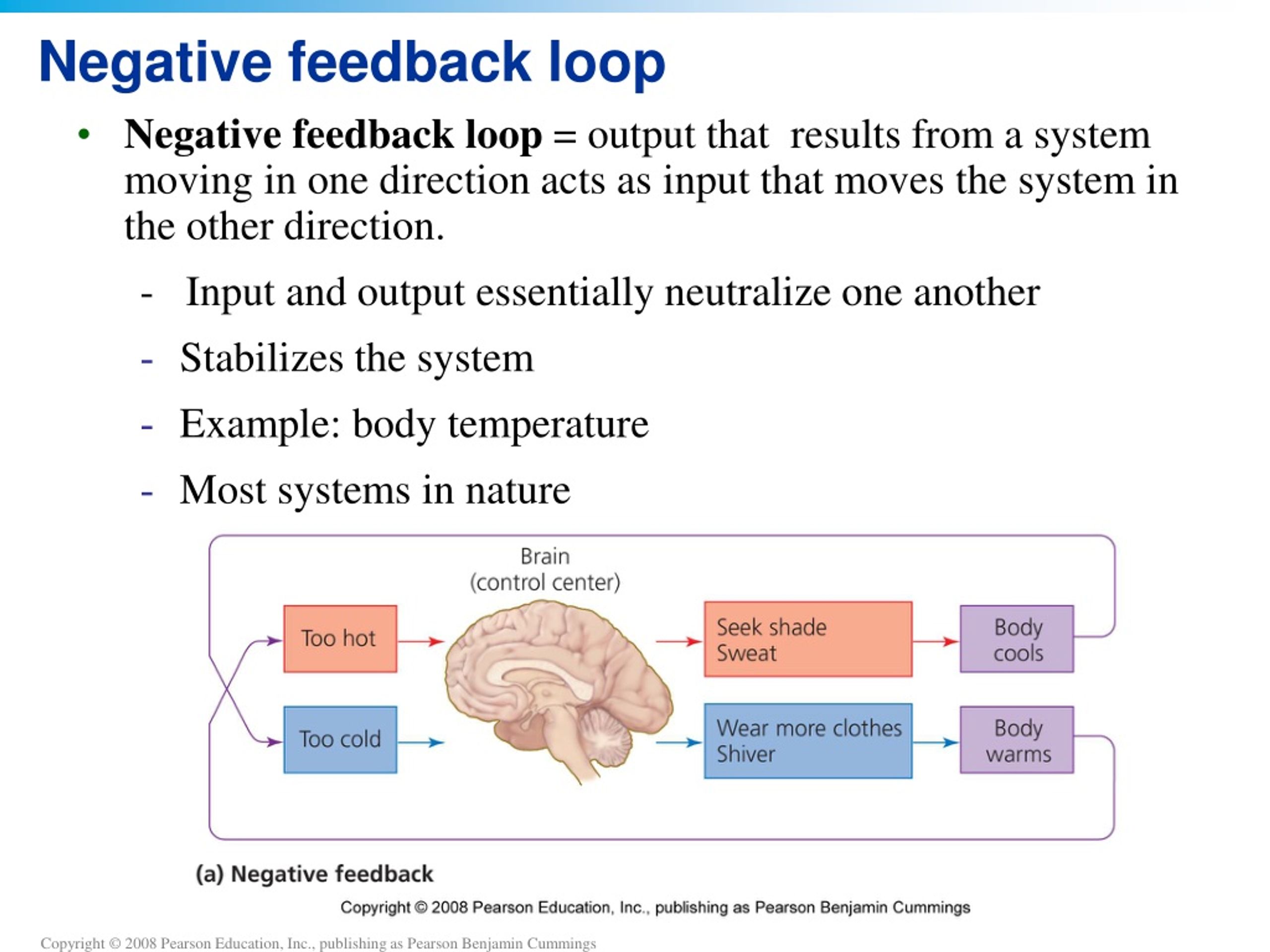 PPT This lecture will help you understand PowerPoint Presentation