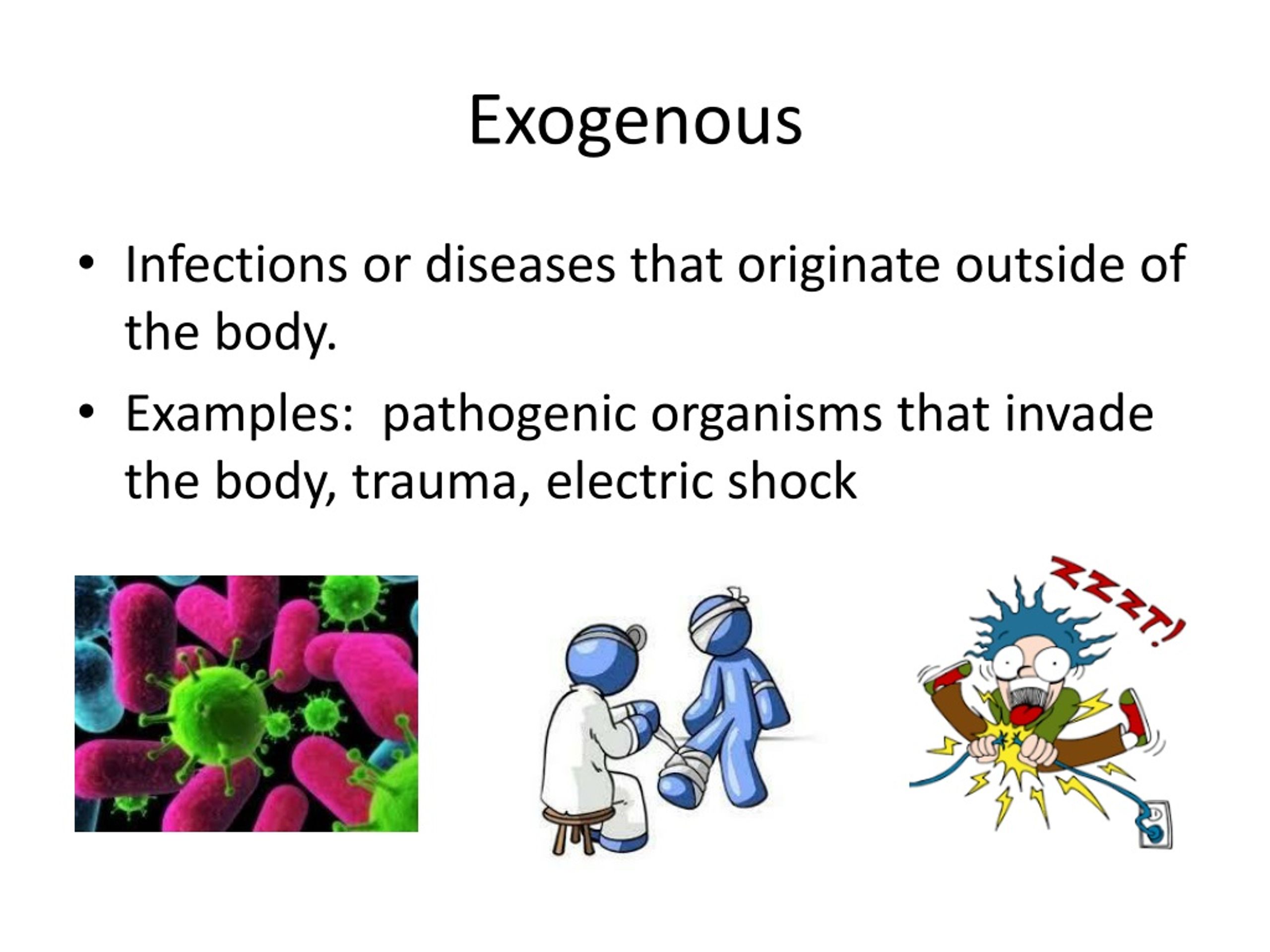 PPT 4 Types of Infections HS1/Berryhill & Cashion DHO Ch. 14/DHO8 Ch