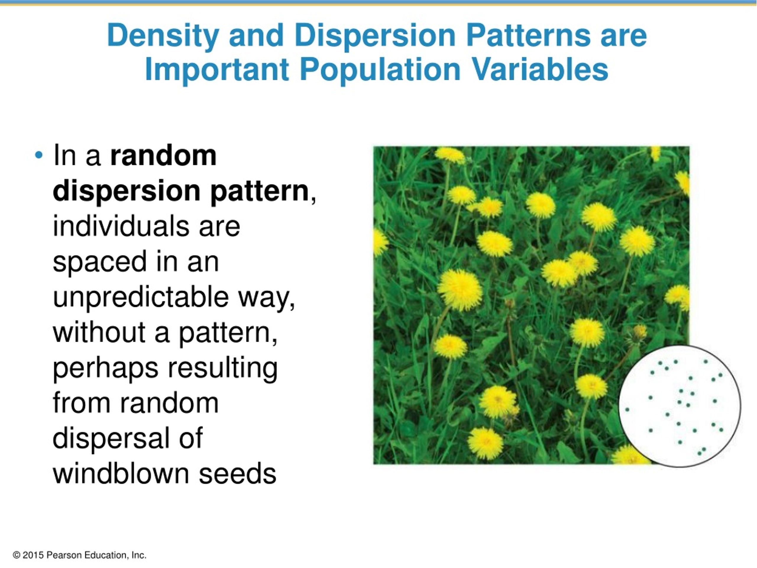 PPT Ch. 19 Population Ecology PowerPoint Presentation, free download