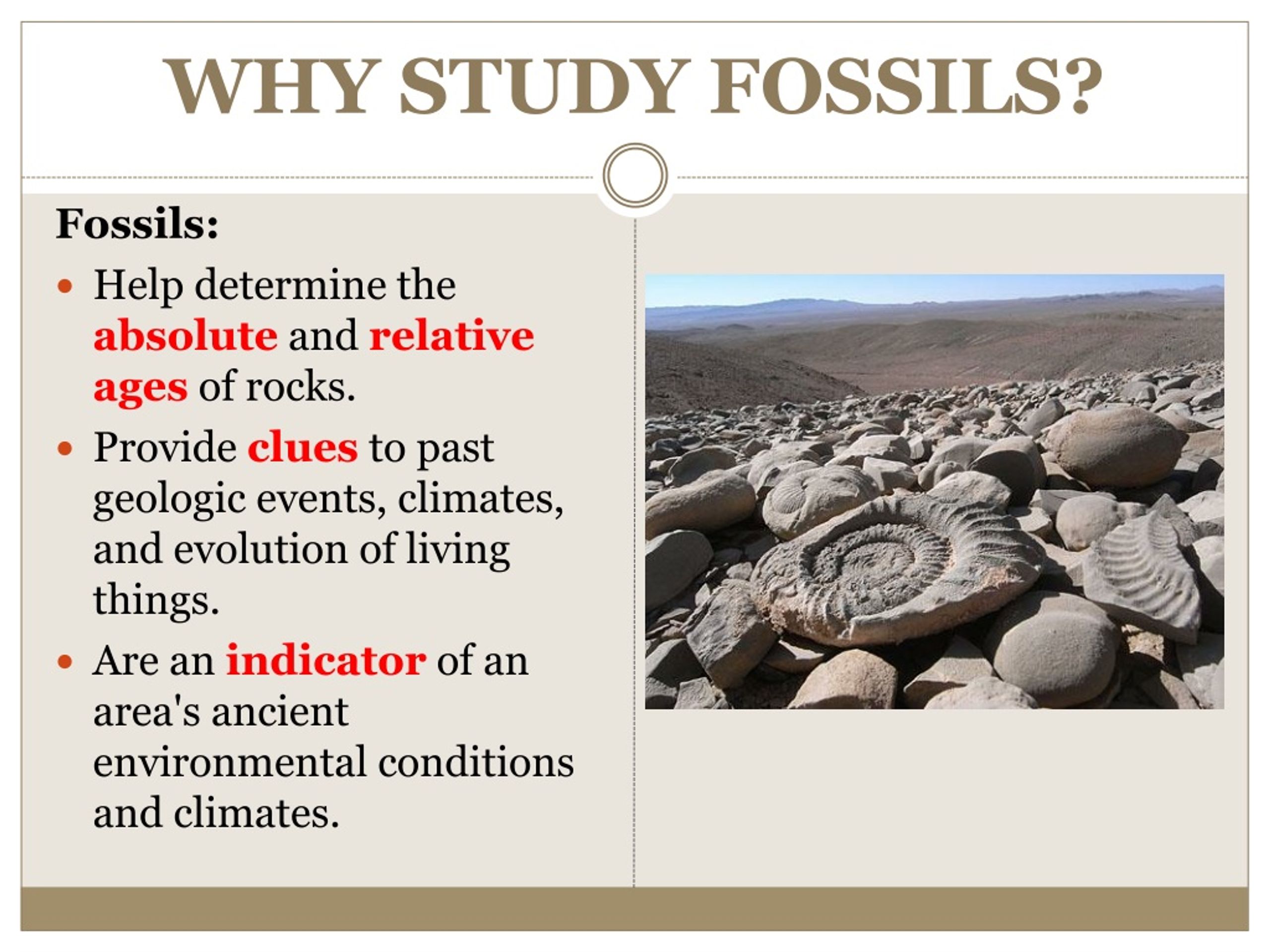 PPT DO NOW PowerPoint Presentation, free download ID1087910