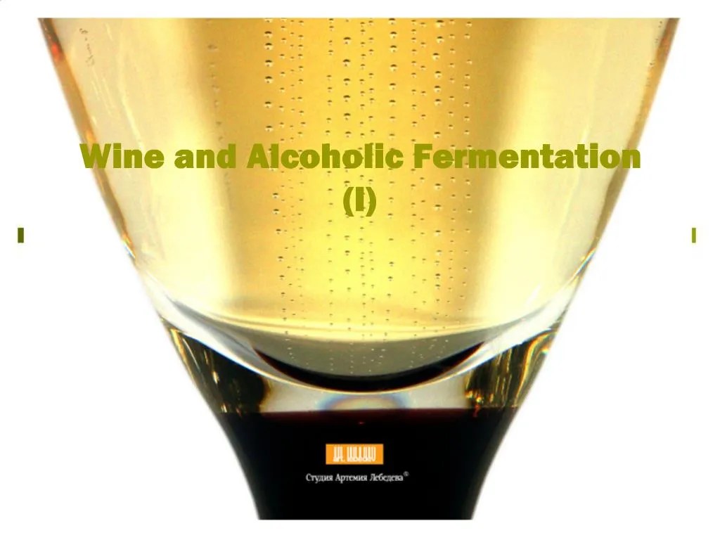PPT Wine and Alcoholic Fermentation I PowerPoint Presentation, free