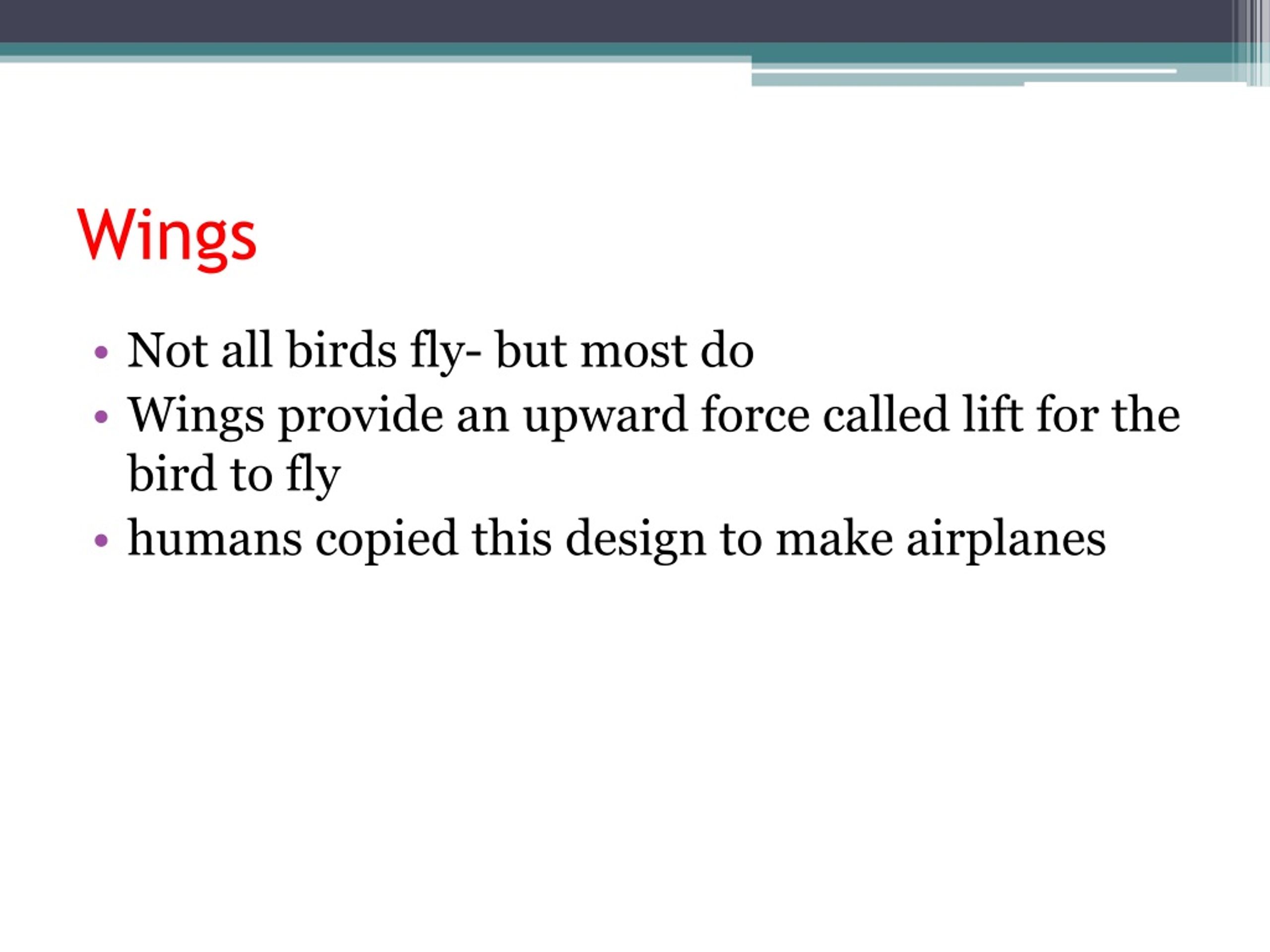 PPT Birds PowerPoint Presentation, free download ID1267024