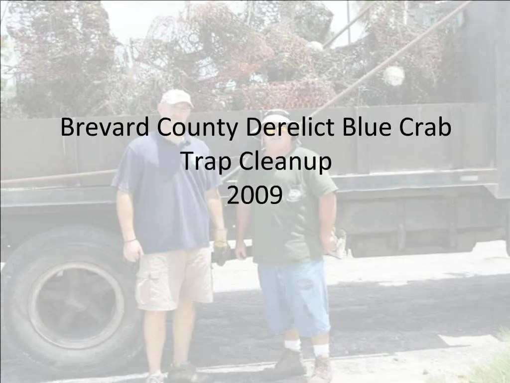 PPT Closed Season Regulations for Blue Crab in Florida PowerPoint