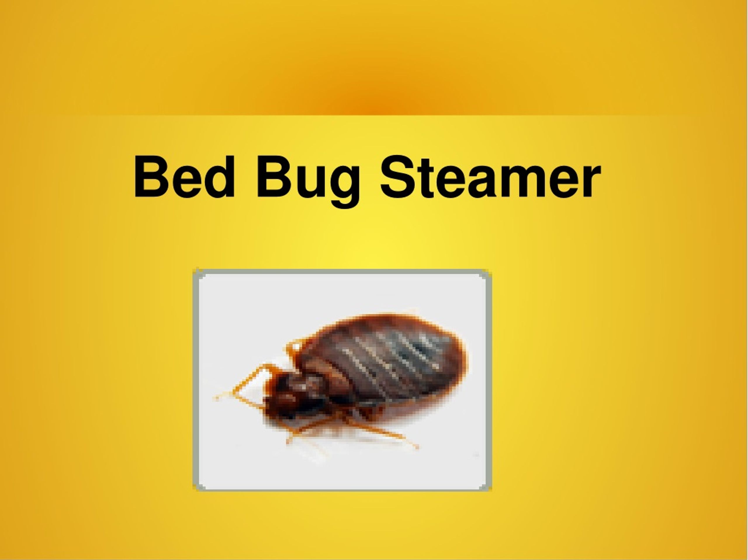 PPT Bed Bug Steamer PowerPoint Presentation, free download ID1376419