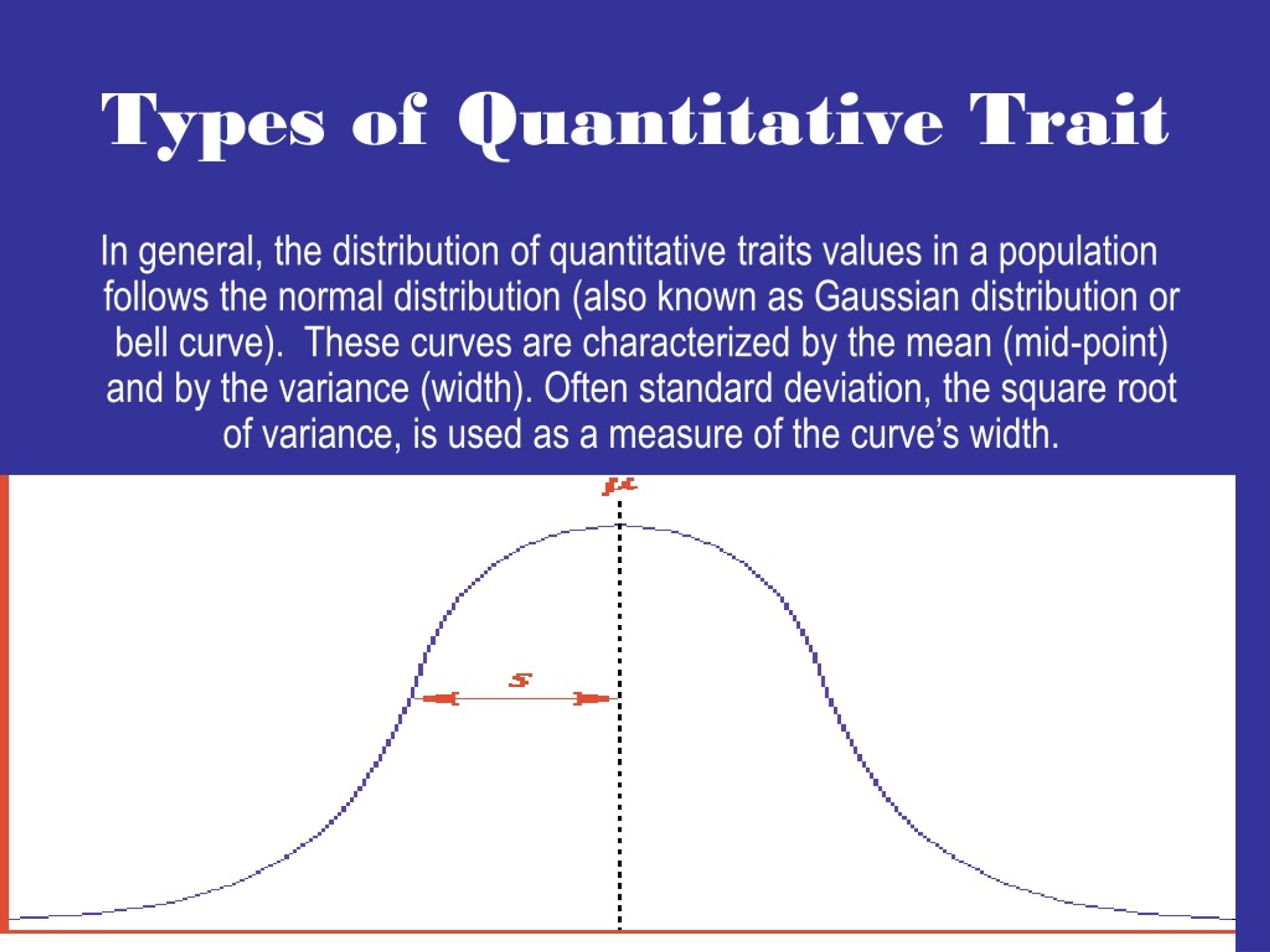 PPT Introduction to Quantitative PowerPoint Presentation