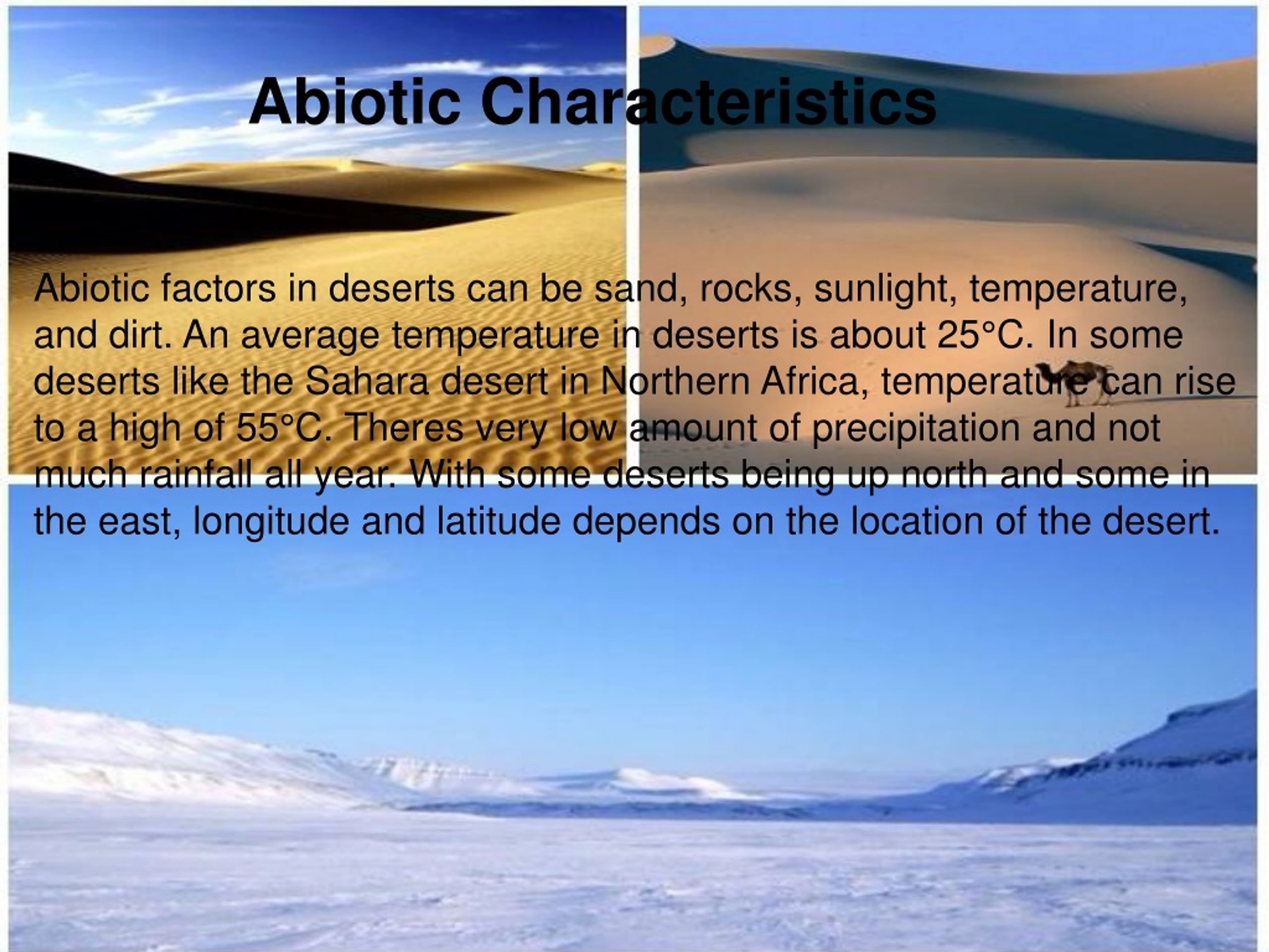PPT The Desert Biome PowerPoint Presentation, free download ID1447231