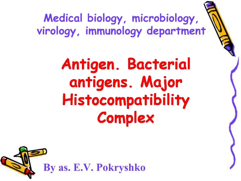 PPT Antigen. Bacterial antigens. Major Complex