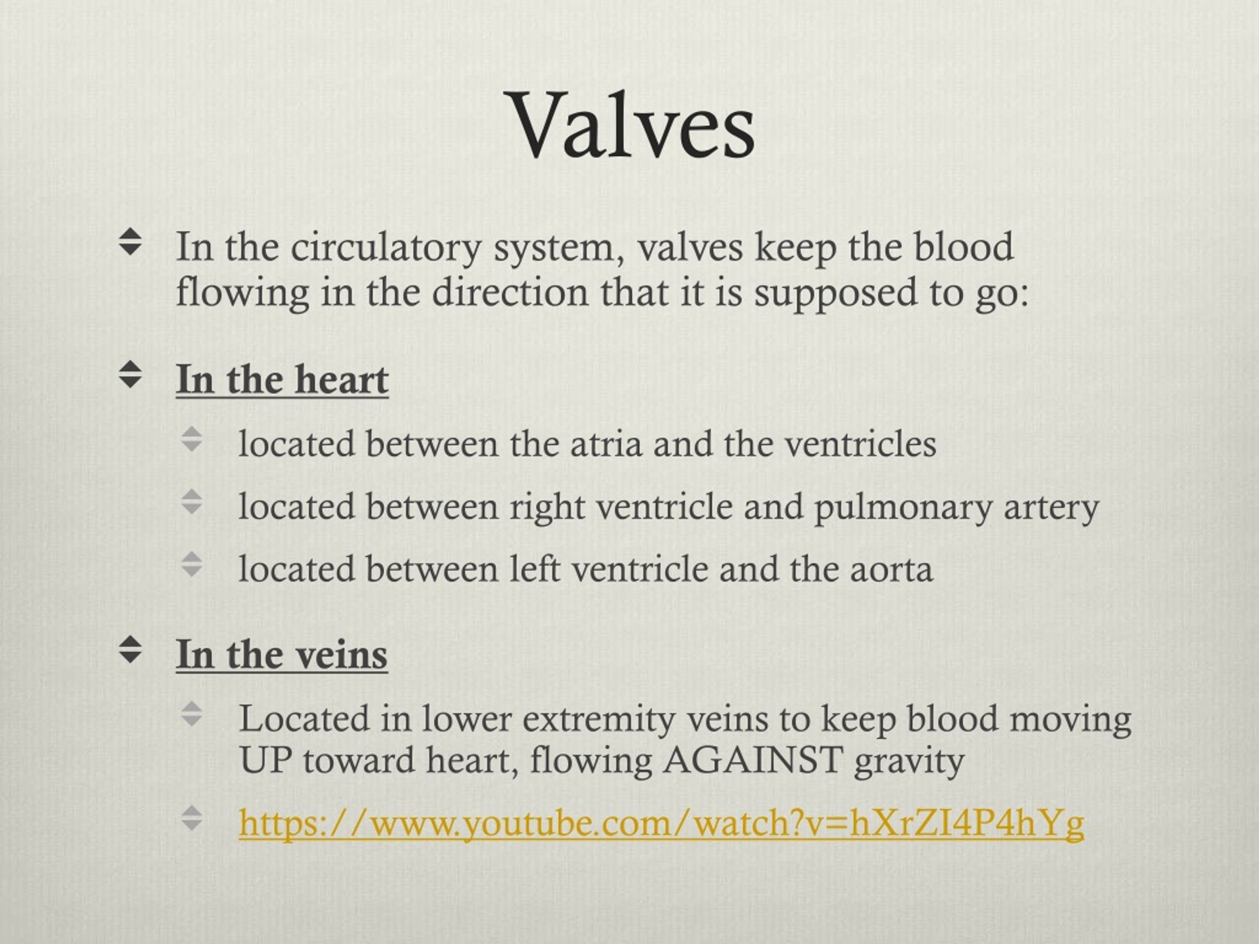 What Is Circulatory System Valves at Henry Apple blog
