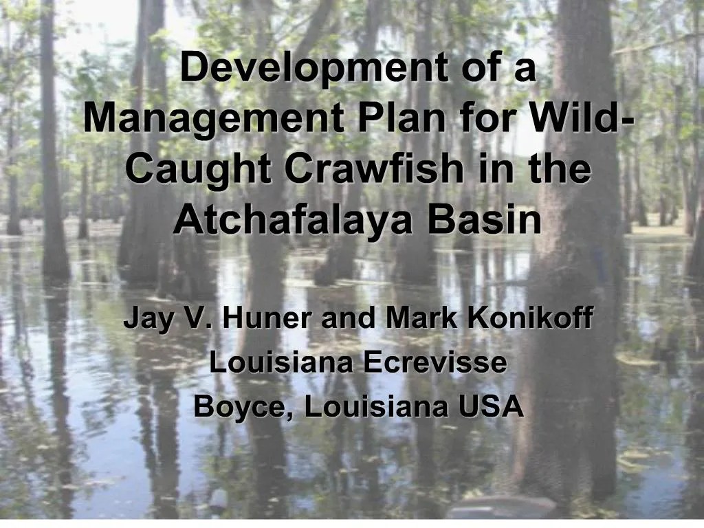 PPT Development of a Management Plan for WildCaught Crawfish in the Atchafalaya Basin
