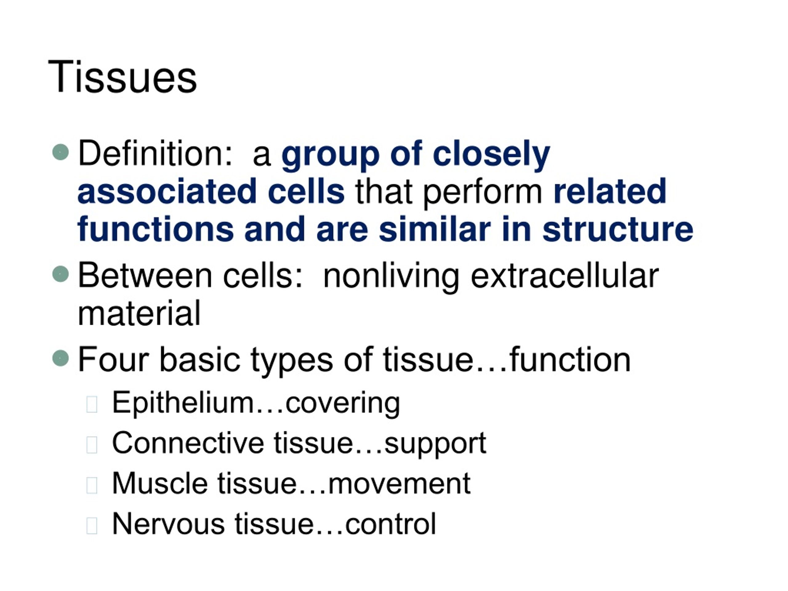 PPT Human Physiology Tissues PowerPoint Presentation, free download