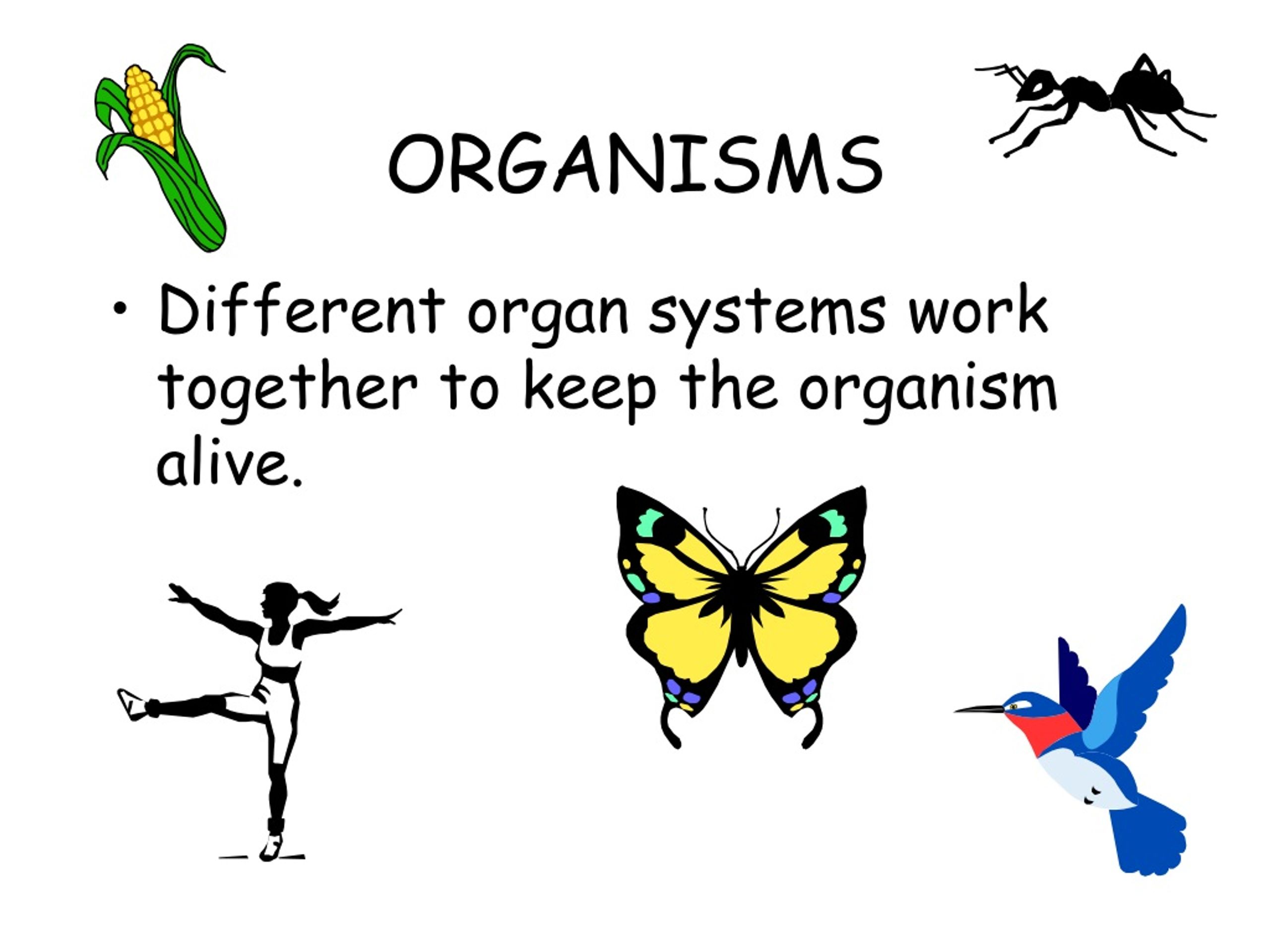 PPT Cells and Their Functions PowerPoint Presentation, free download