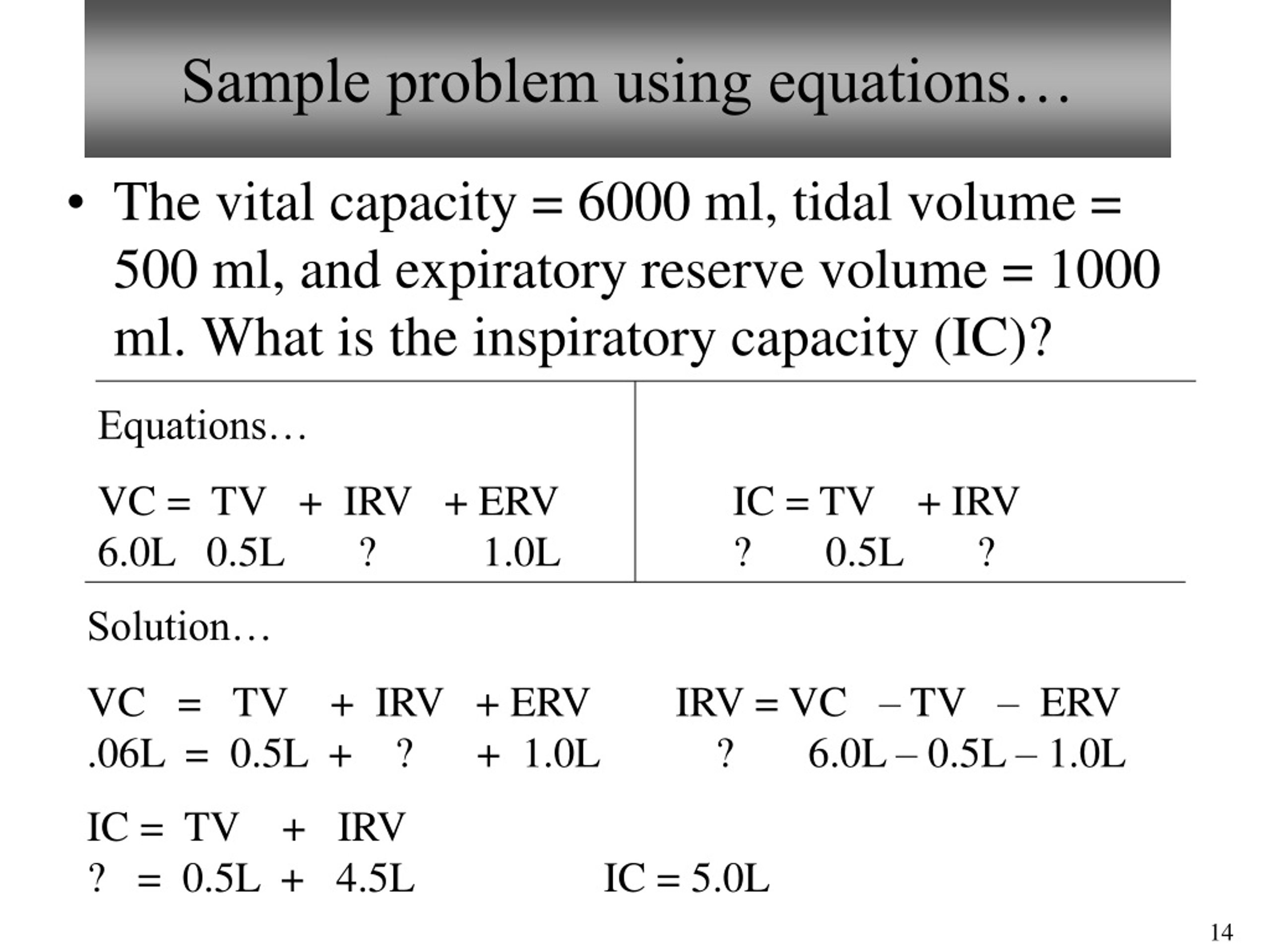 PPT Bio212 Laboratory 6 Respiratory Anatomy Respiratory Physiology