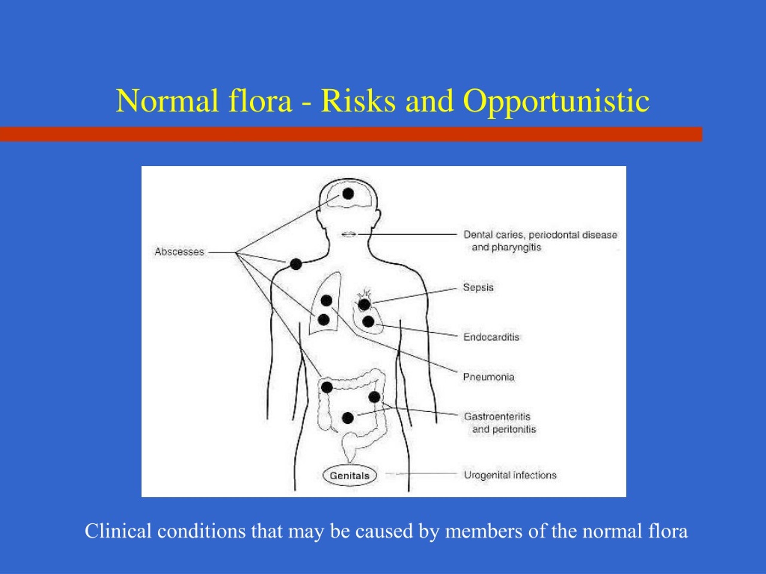 Growth Of Normal Urogenital Flora Meaning PRAKMO