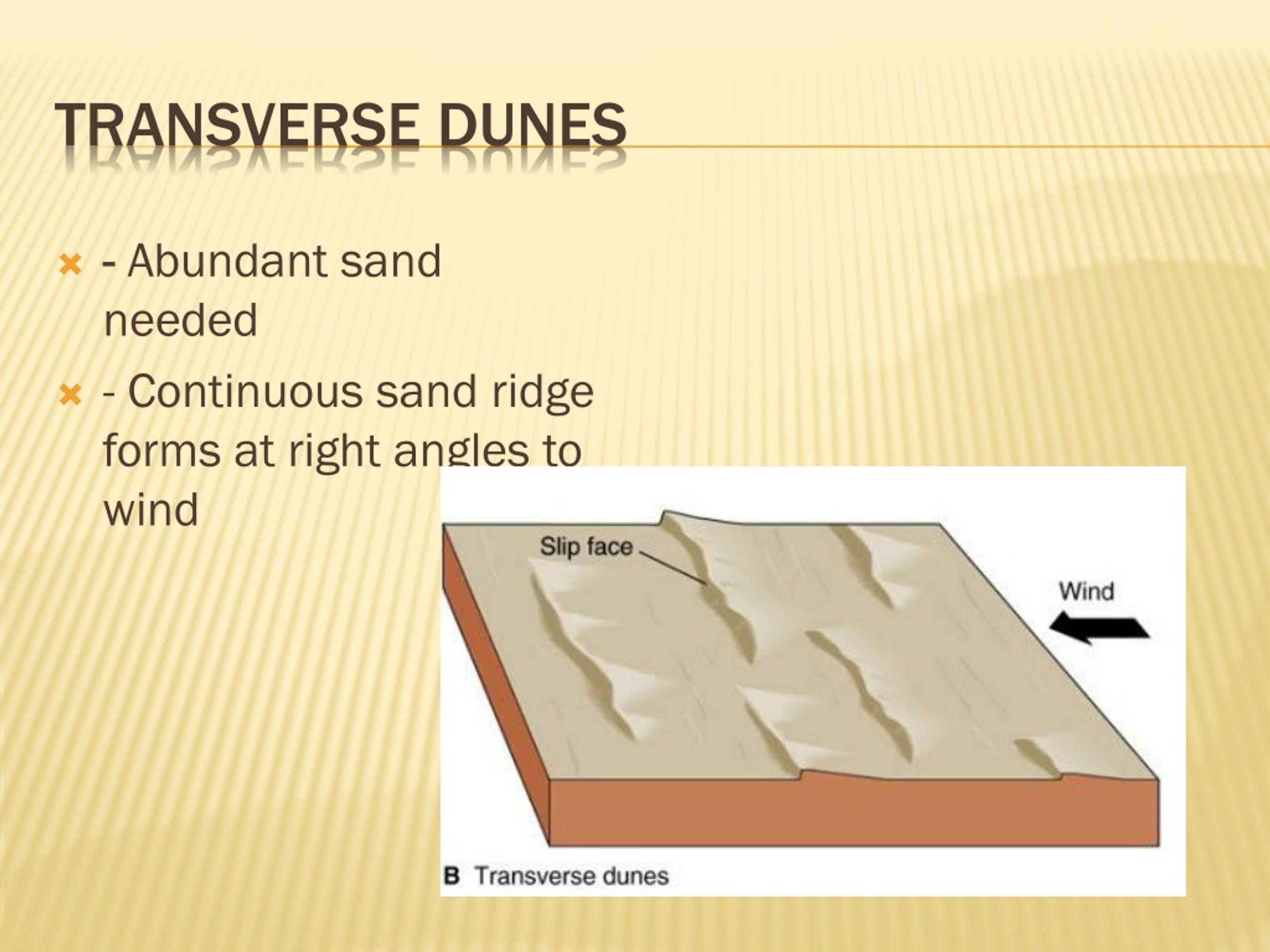 PPT Wind Erosion and Landforms of Desert Areas PowerPoint Presentation ID226021