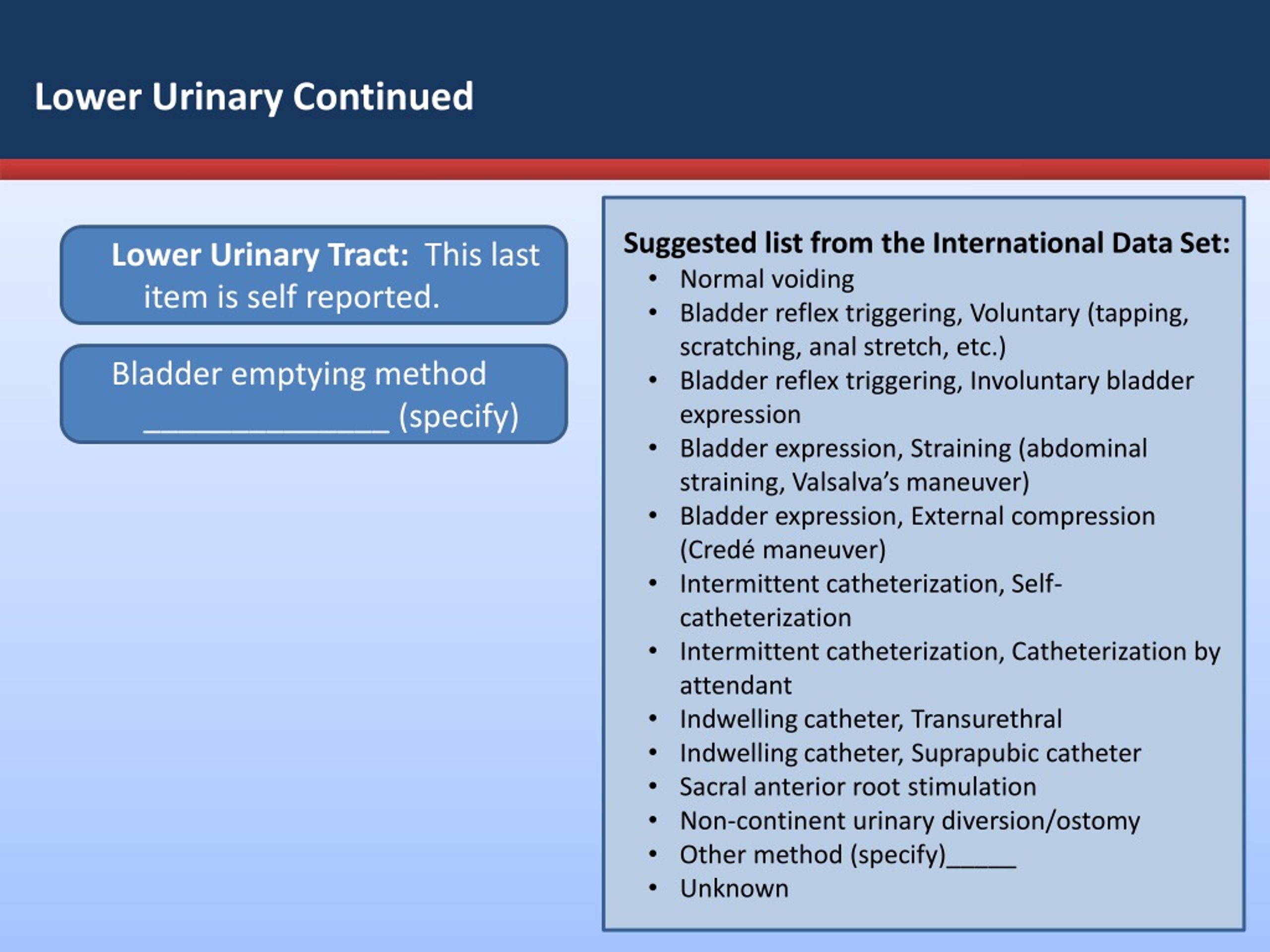 PPT Basic Anatomy PowerPoint Presentation, free download ID230298