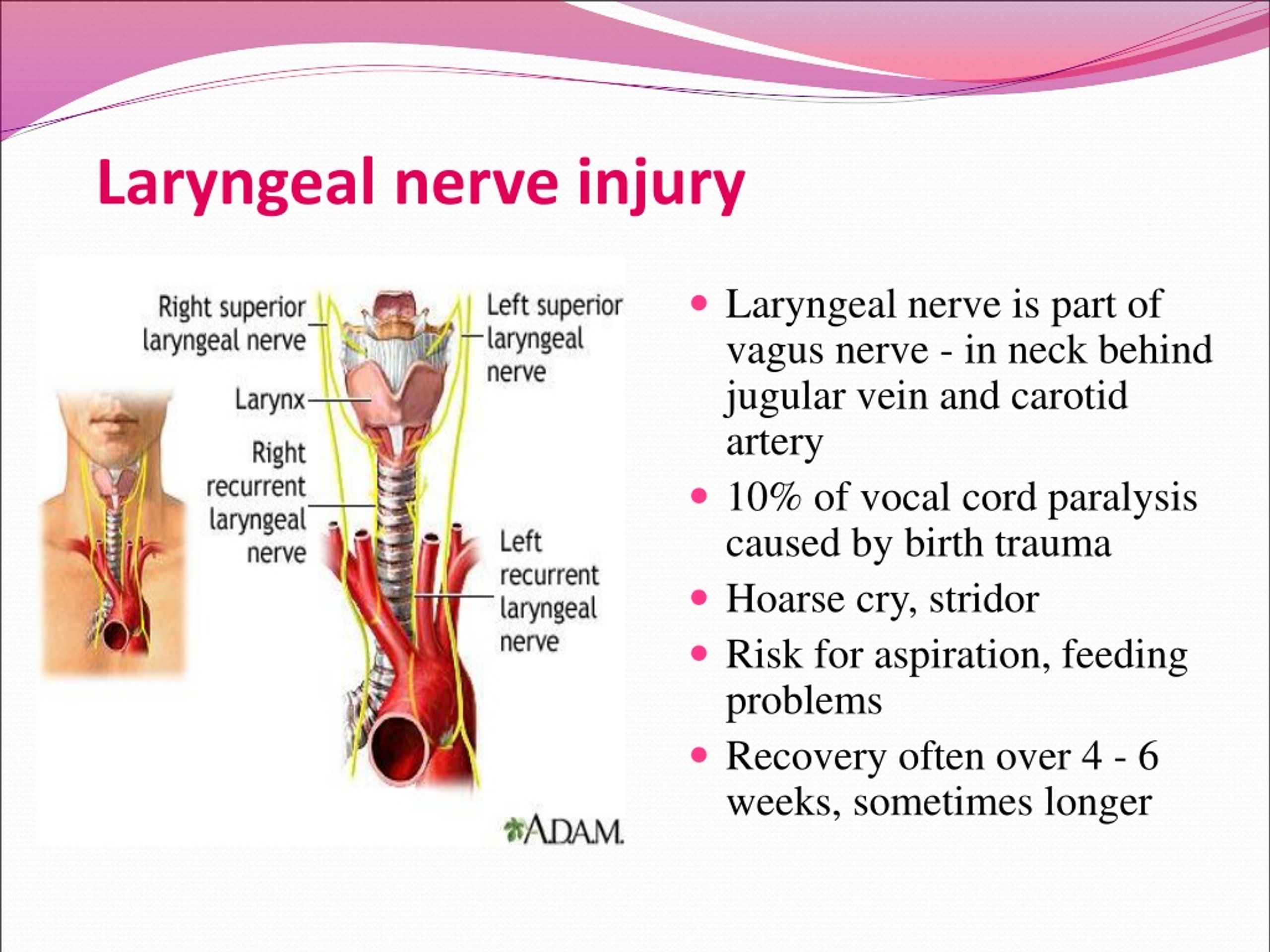 PPT Trauma during birth PowerPoint Presentation, free download ID