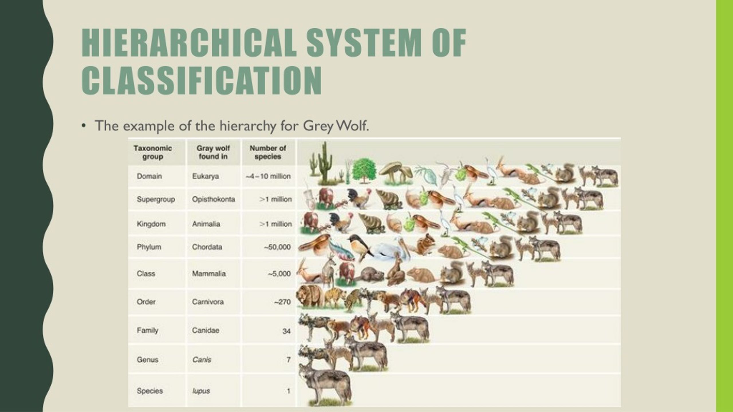 Ppt Advanced Biology Chapter 14 Classification Notes Powerpoint Free