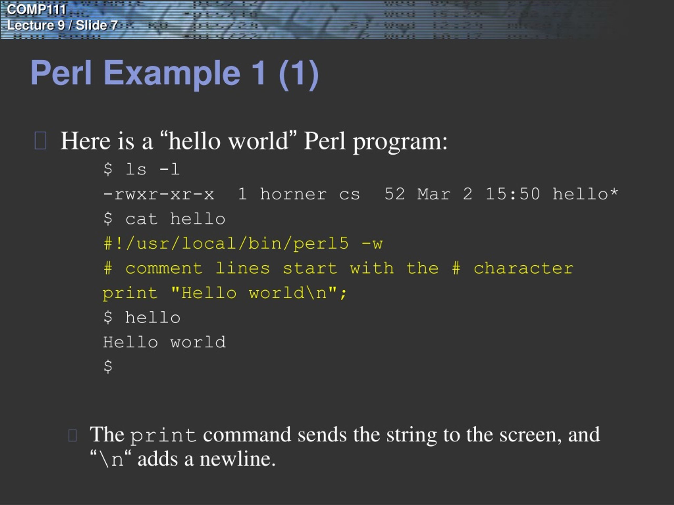 PPT Introduction to Perl PowerPoint Presentation, free download ID245086