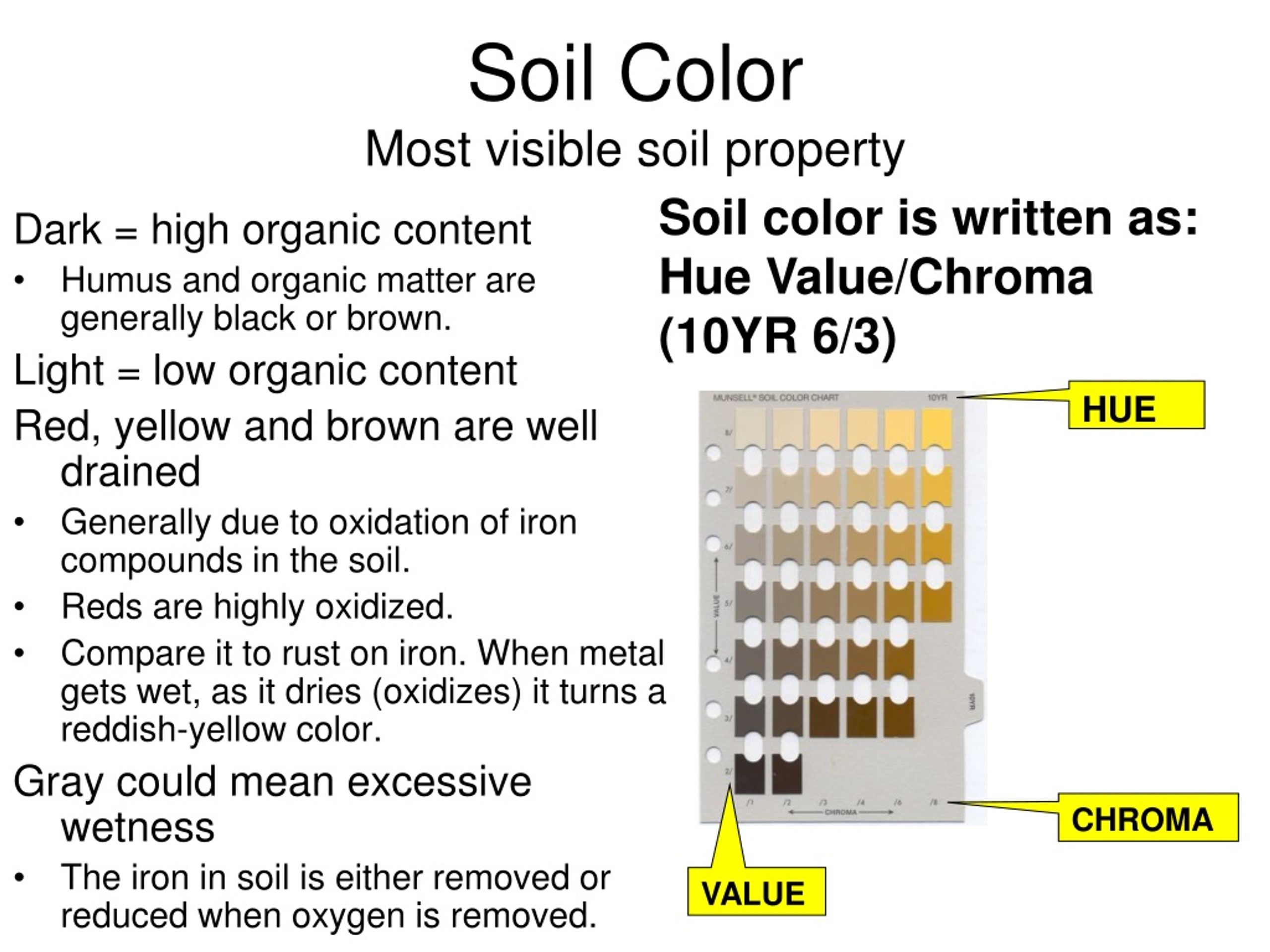 PPT Envirothon Soils PowerPoint Presentation, free download ID248927