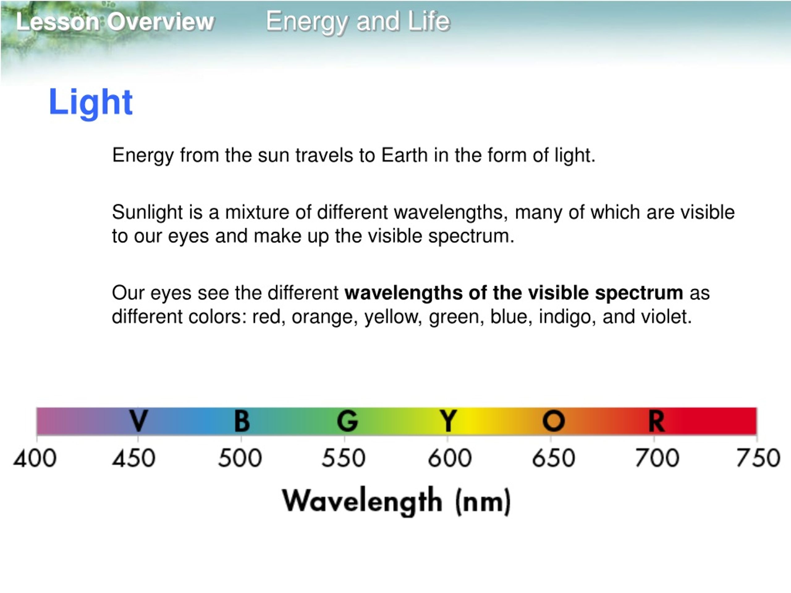 PPT Lesson Overview PowerPoint Presentation, free download ID257655