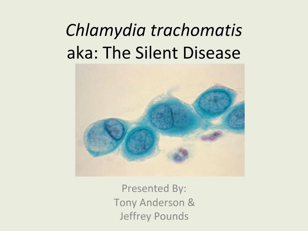 PPT Chlamydia trachomatis aka The Silent Disease PowerPoint