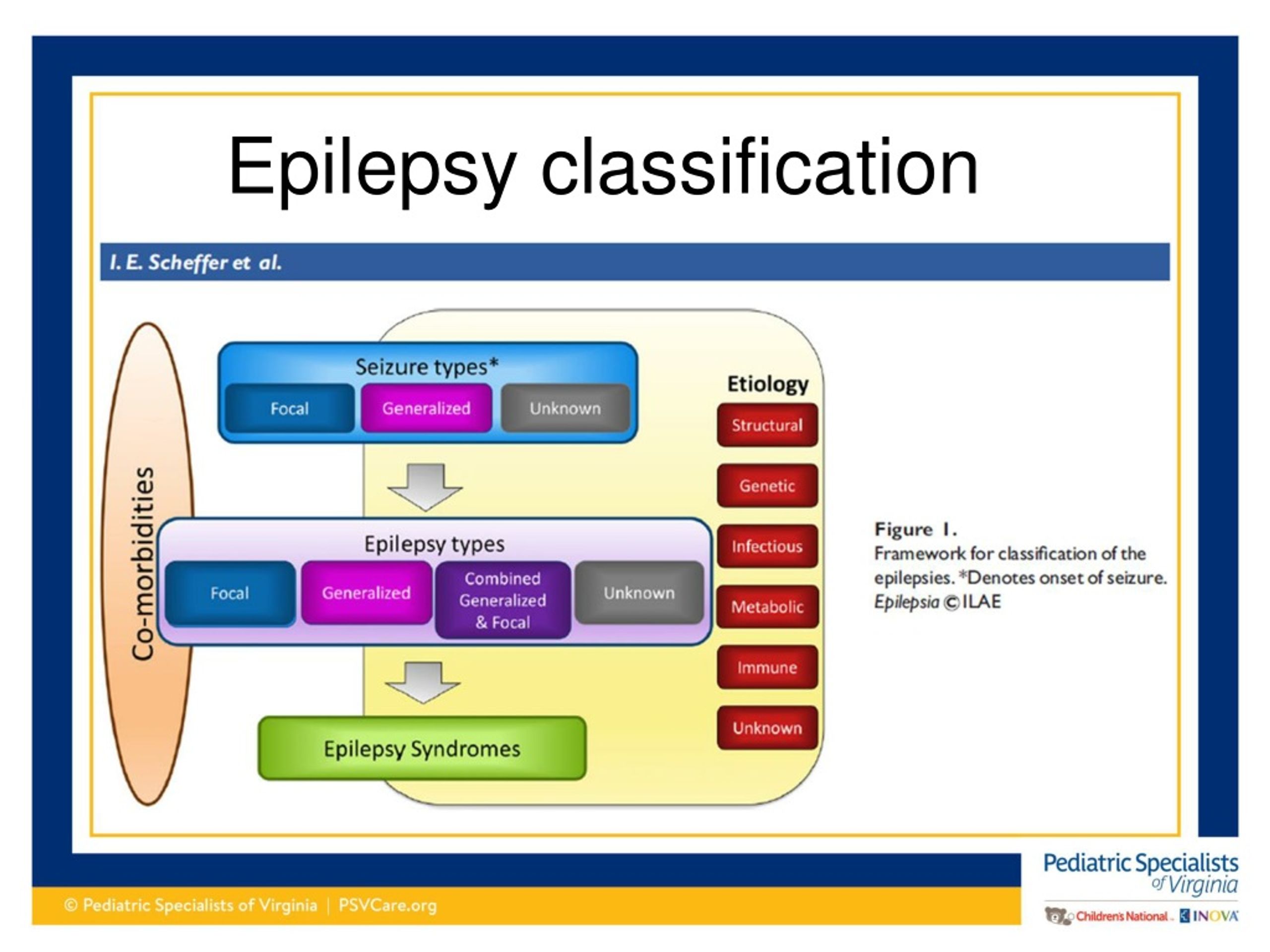 PPT You’ve Got Nerve Clinical Pearls of Epilepsy PowerPoint