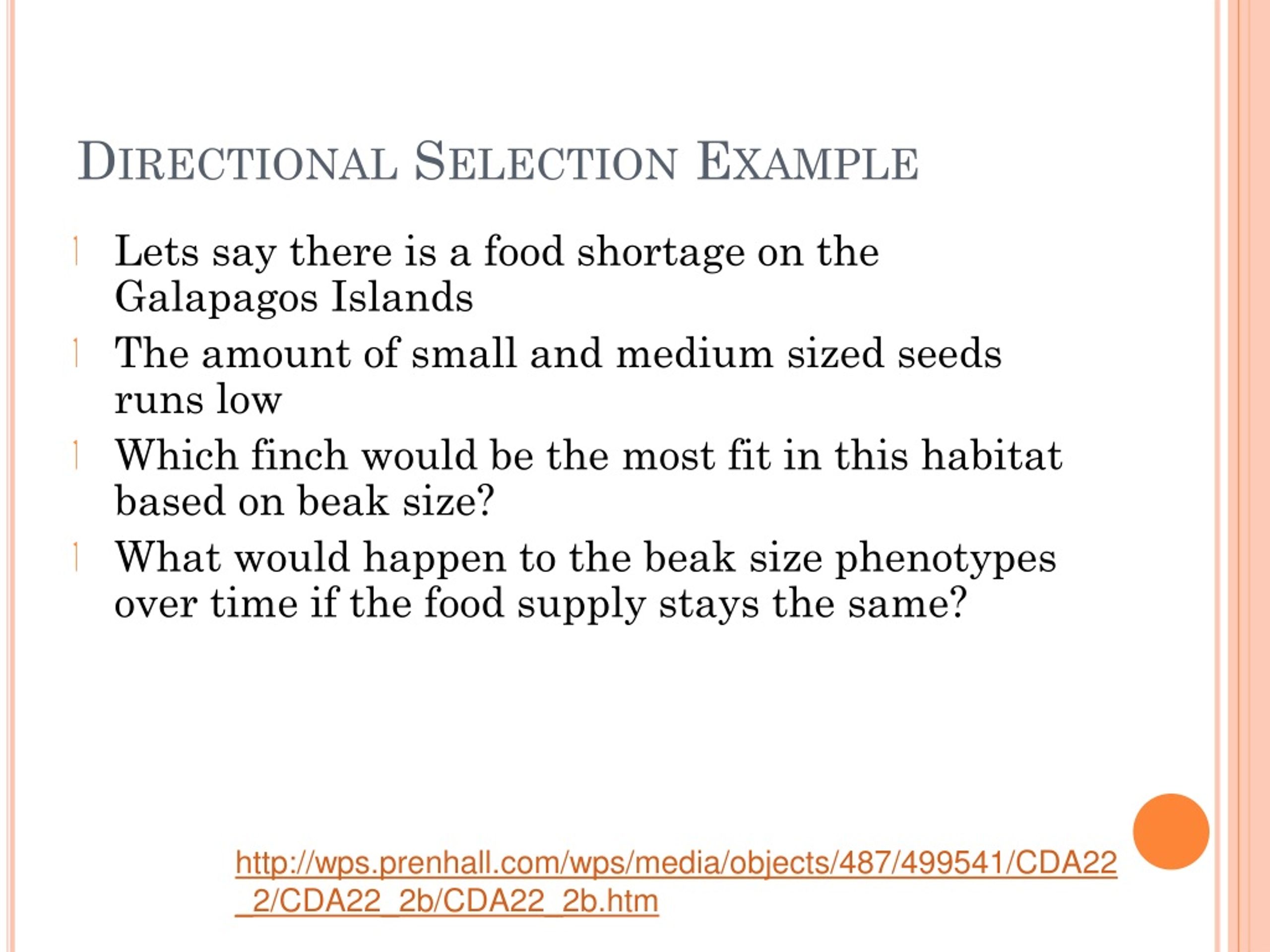 PPT Chapter 17 Evolution of Populations PowerPoint Presentation, free