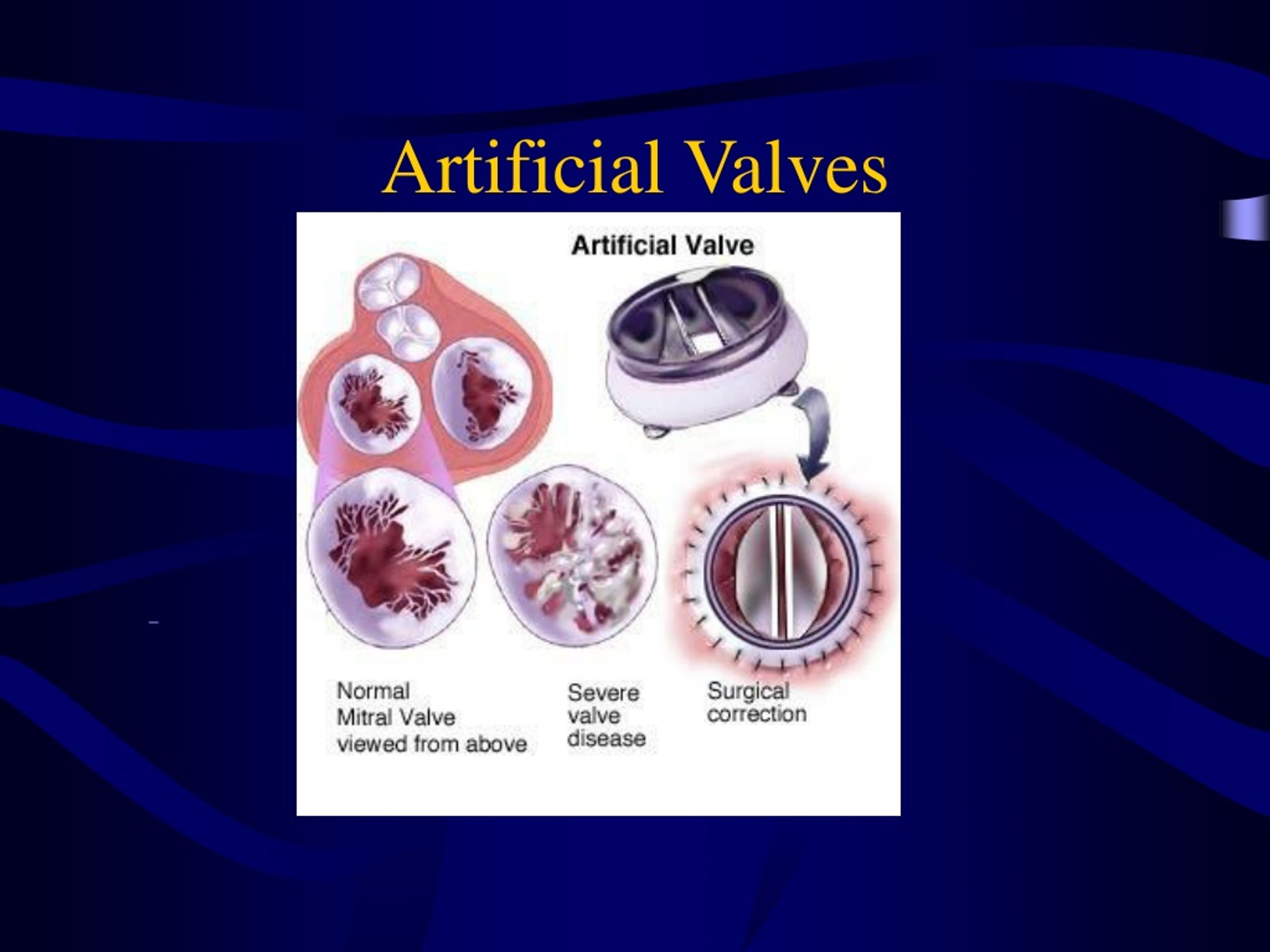 PPT Digestive system PowerPoint Presentation, free download ID285202