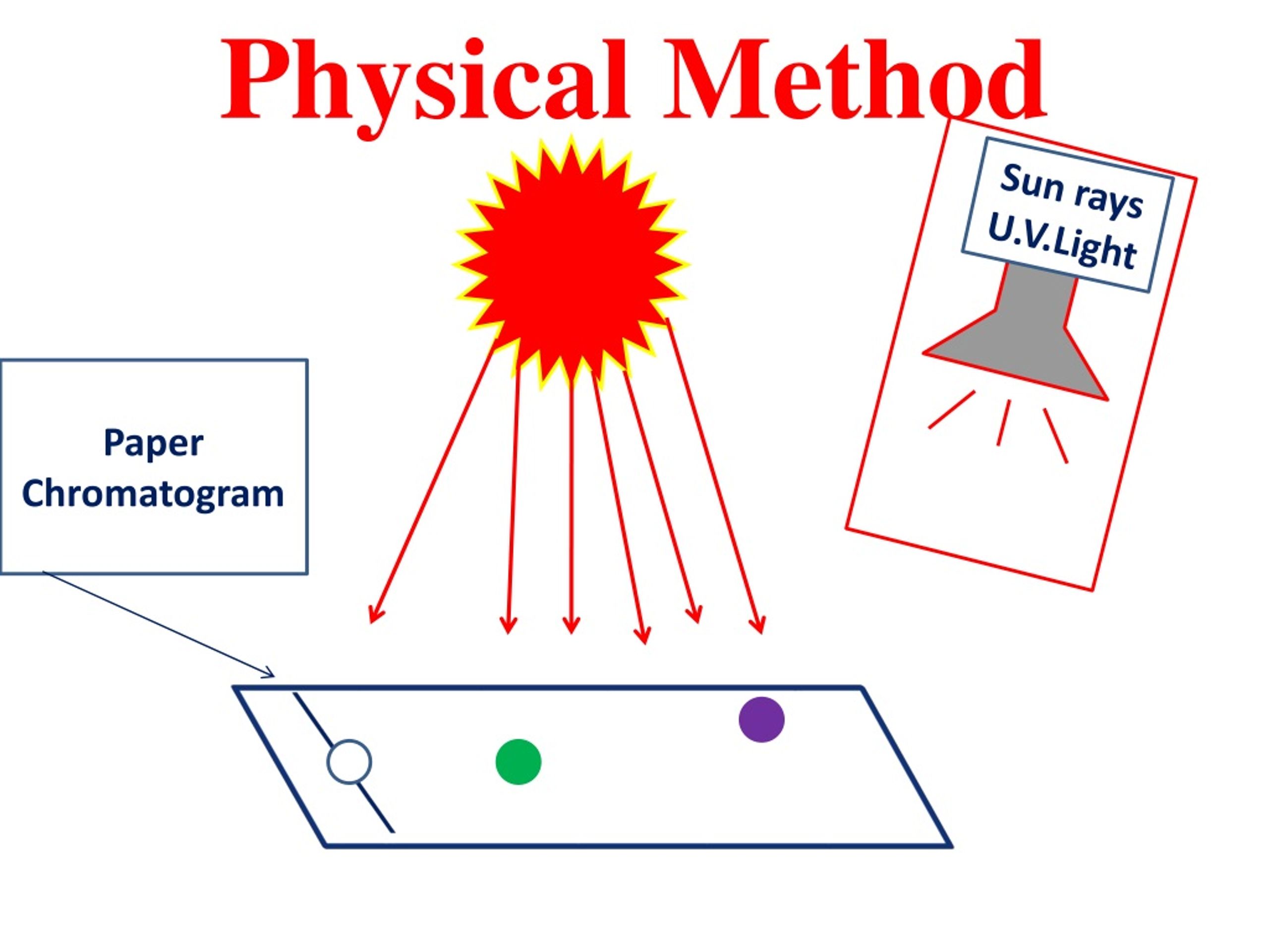 PPT Chromatography PowerPoint Presentation, free download ID289479