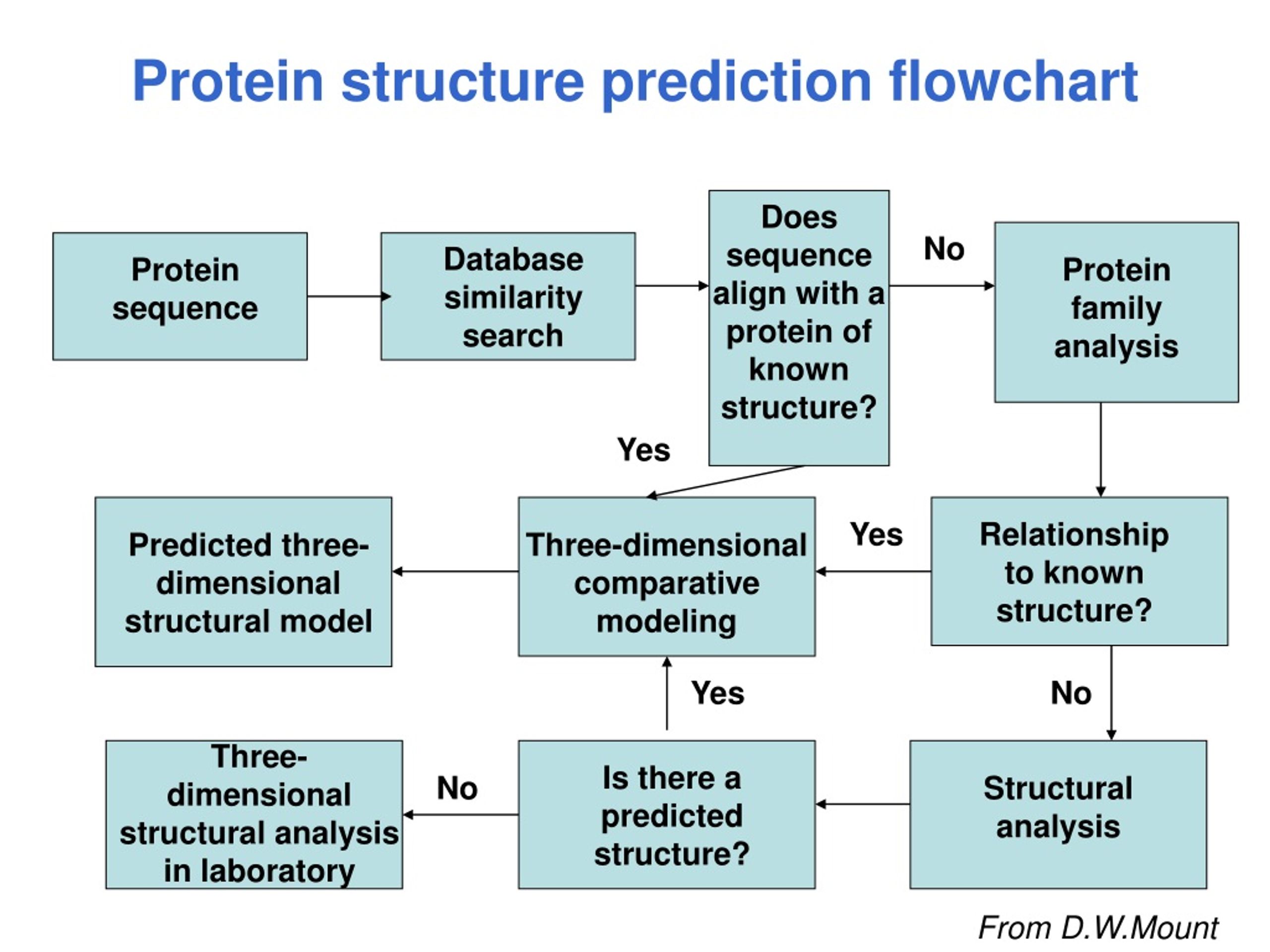 PPT Protein structure prediction. PowerPoint Presentation, free