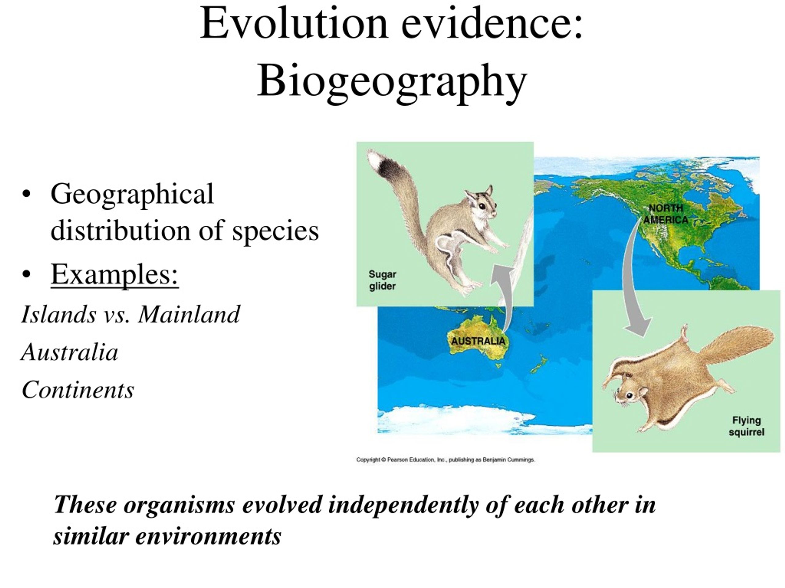 PPT Next Unit Evolution & History of Life Chapters 2226 Chapter
