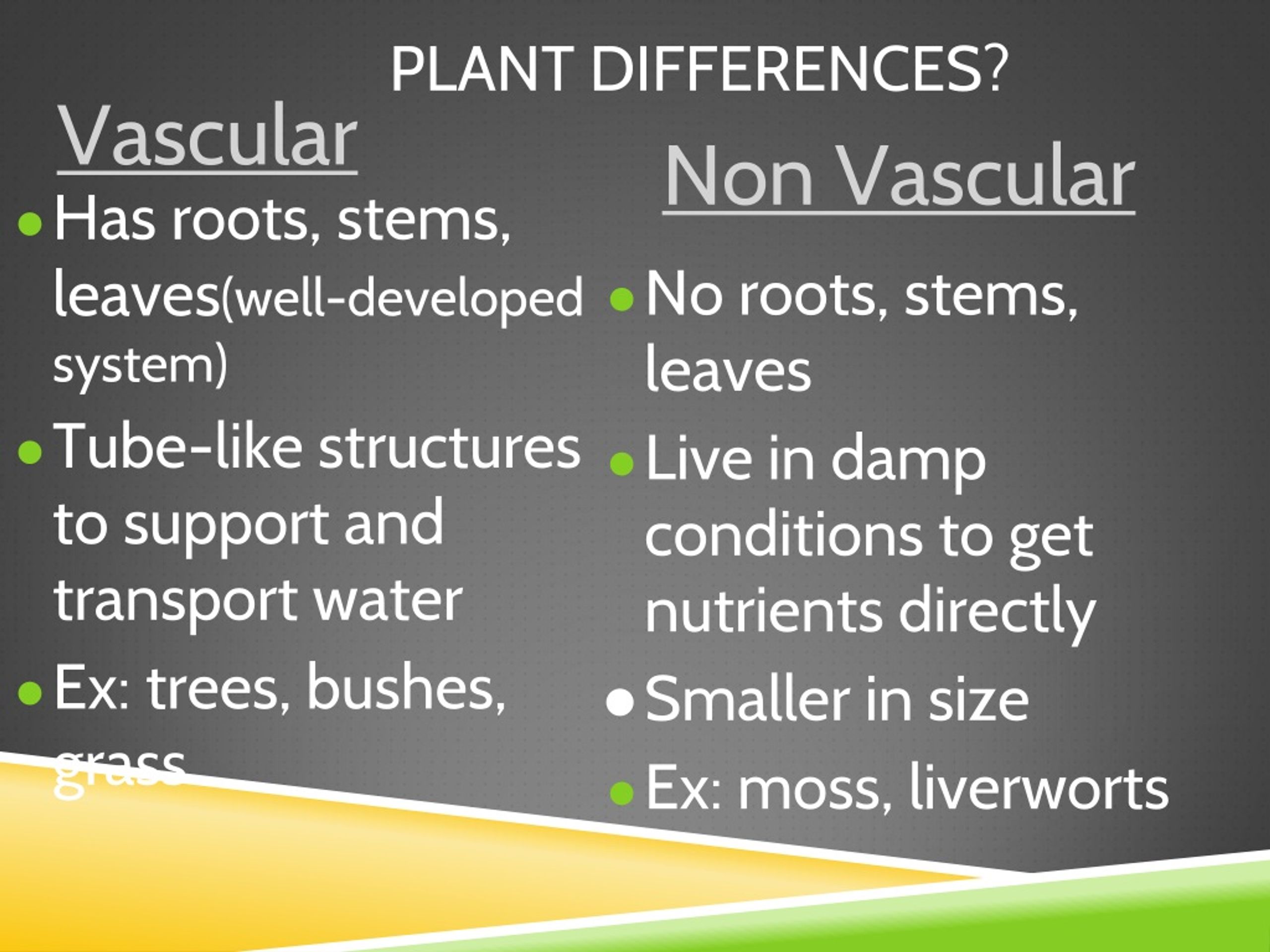 PPT VASCULAR AND NONVASCULAR PLANTS? PowerPoint Presentation, free