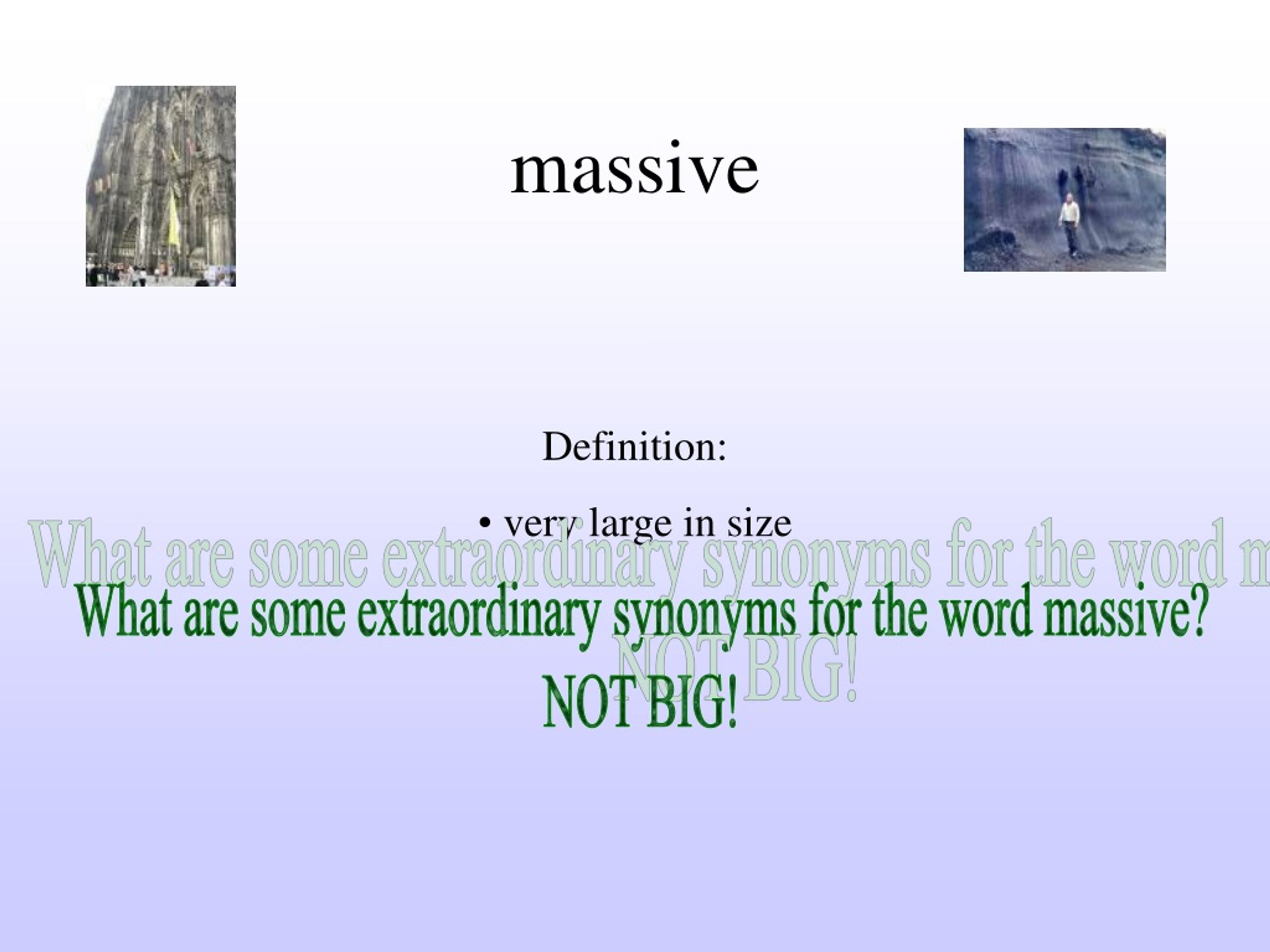 PPT STONE FOX PowerPoint Presentation, free download ID333663