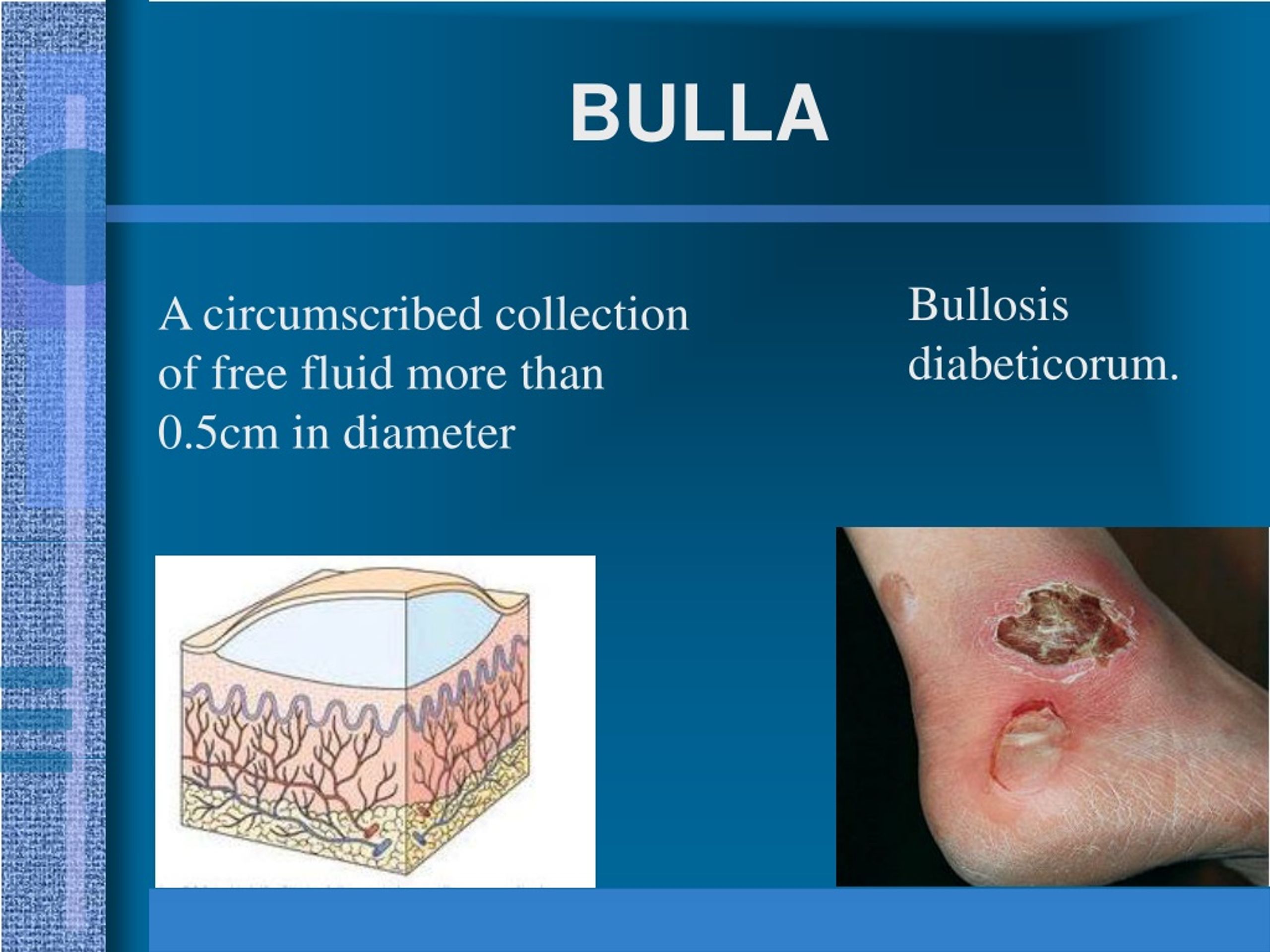 PPT DERMATOLOGY PowerPoint Presentation, free download ID333669