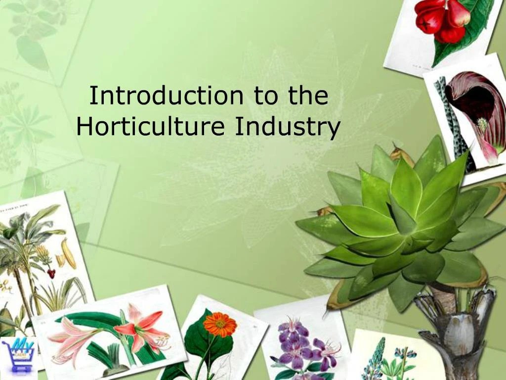 PPT Introduction to the Horticulture Industry PowerPoint Presentation