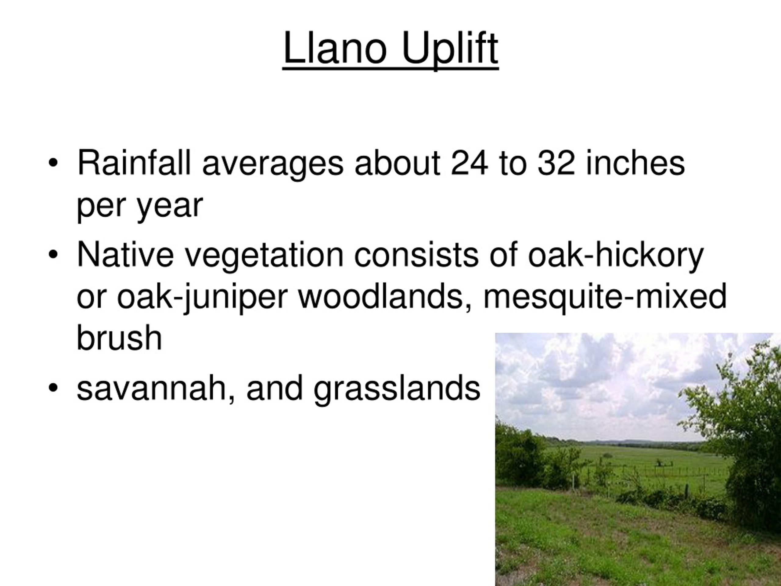 PPT Piney Woods East Texas region PowerPoint Presentation, free