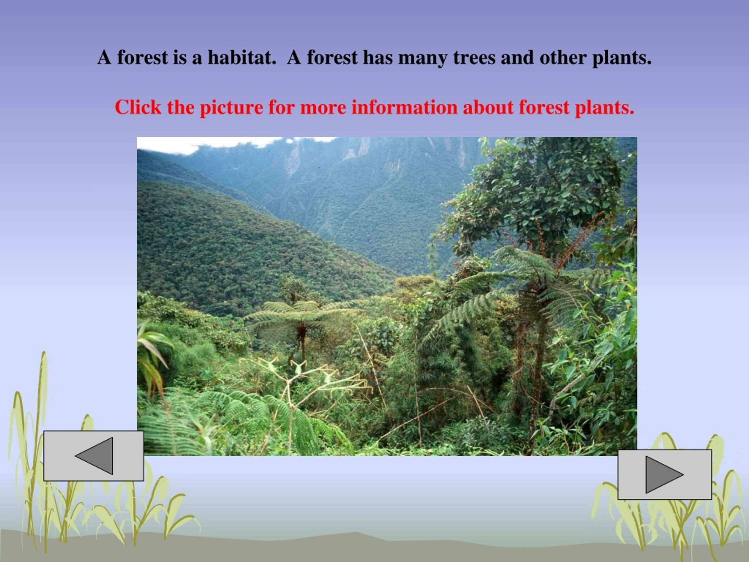 PPT Habitat PowerPoint Presentation, free download ID364217