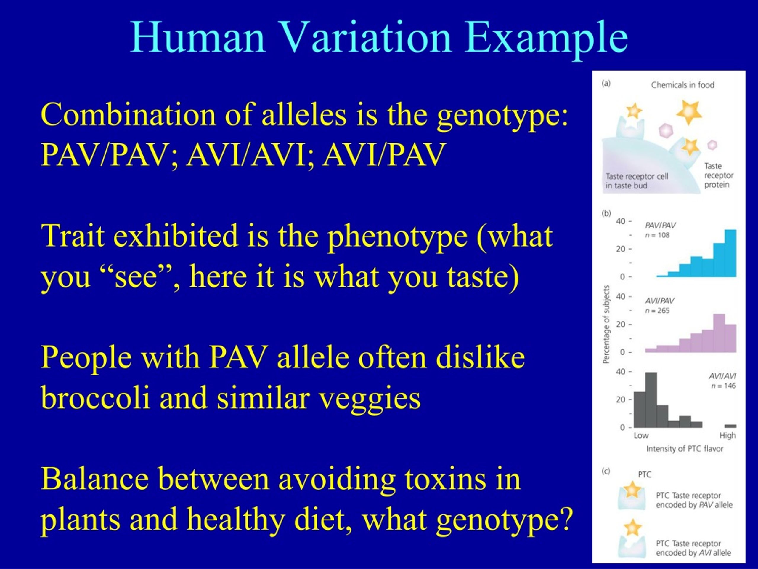 PPT Evolution Lecture 6 Variation Among Individuals (Chapter 5