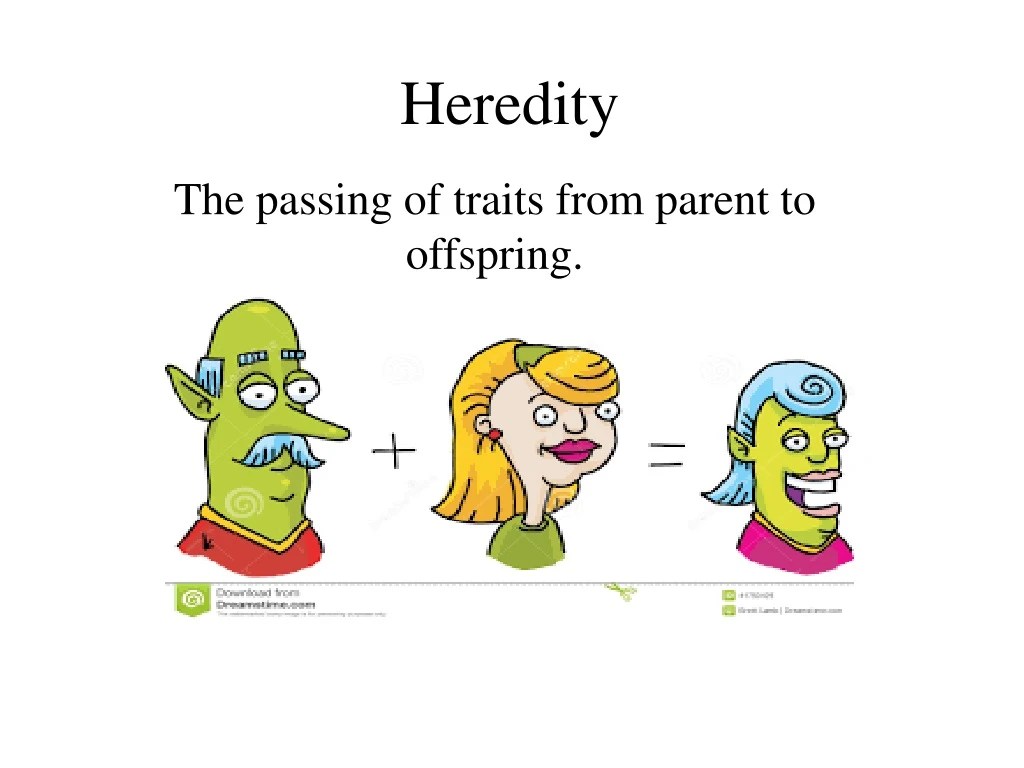PPT Heredity PowerPoint Presentation, free download ID373864