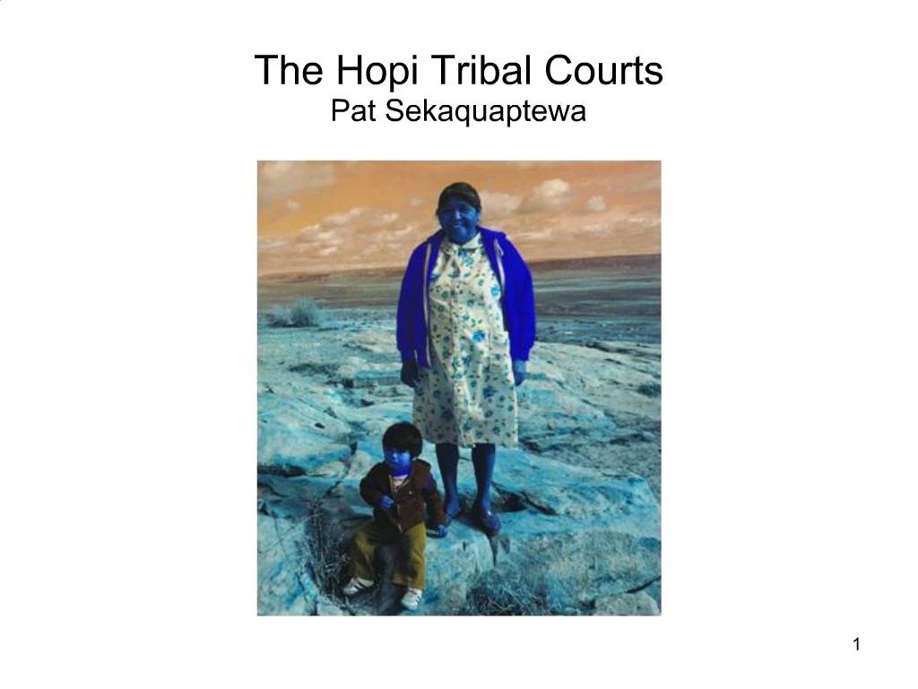 PPT The Hopi Tribal Courts Pat Sekaquaptewa PowerPoint Presentation