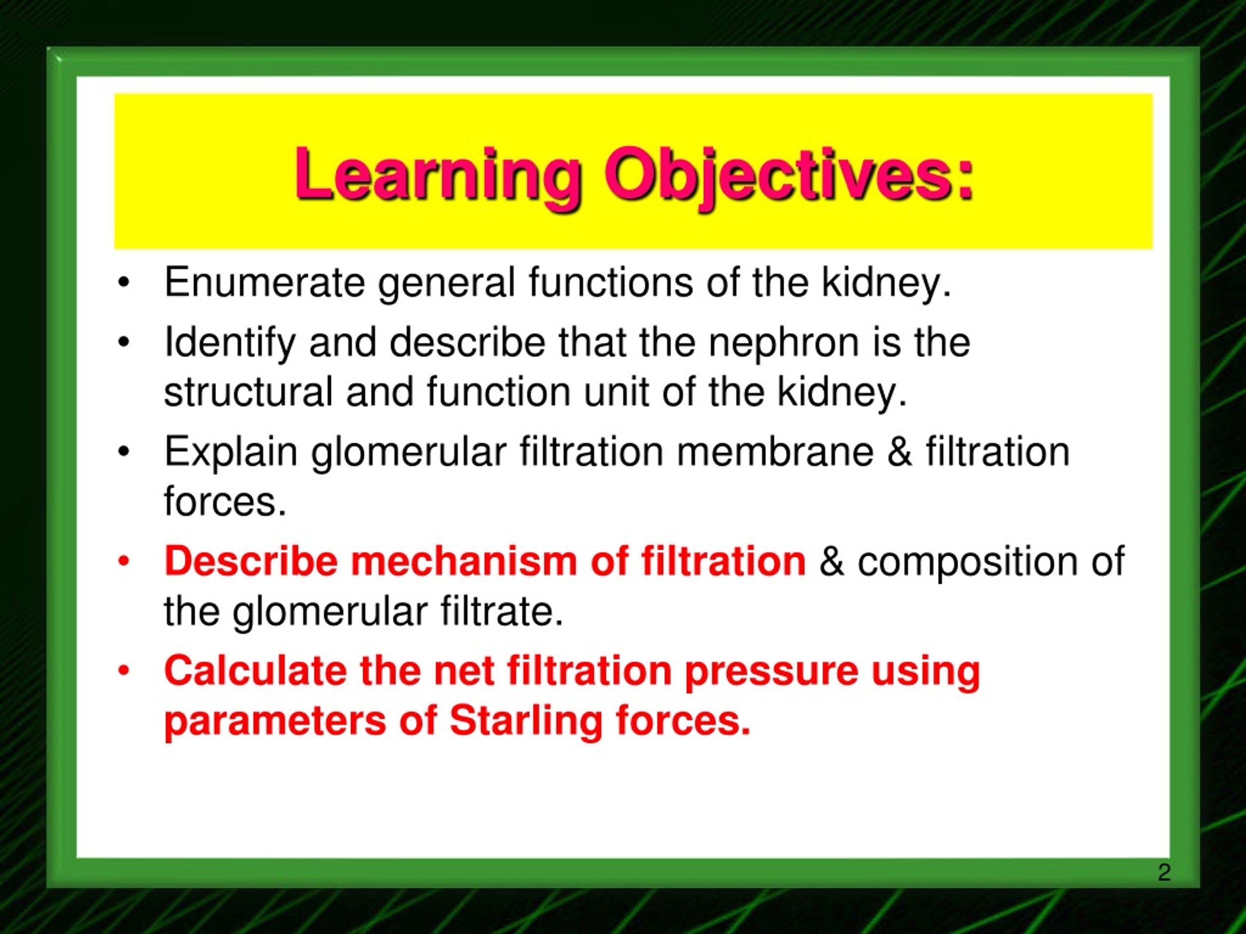PPT (Renal Physiology 1) Renal Functions and Basic Concepts