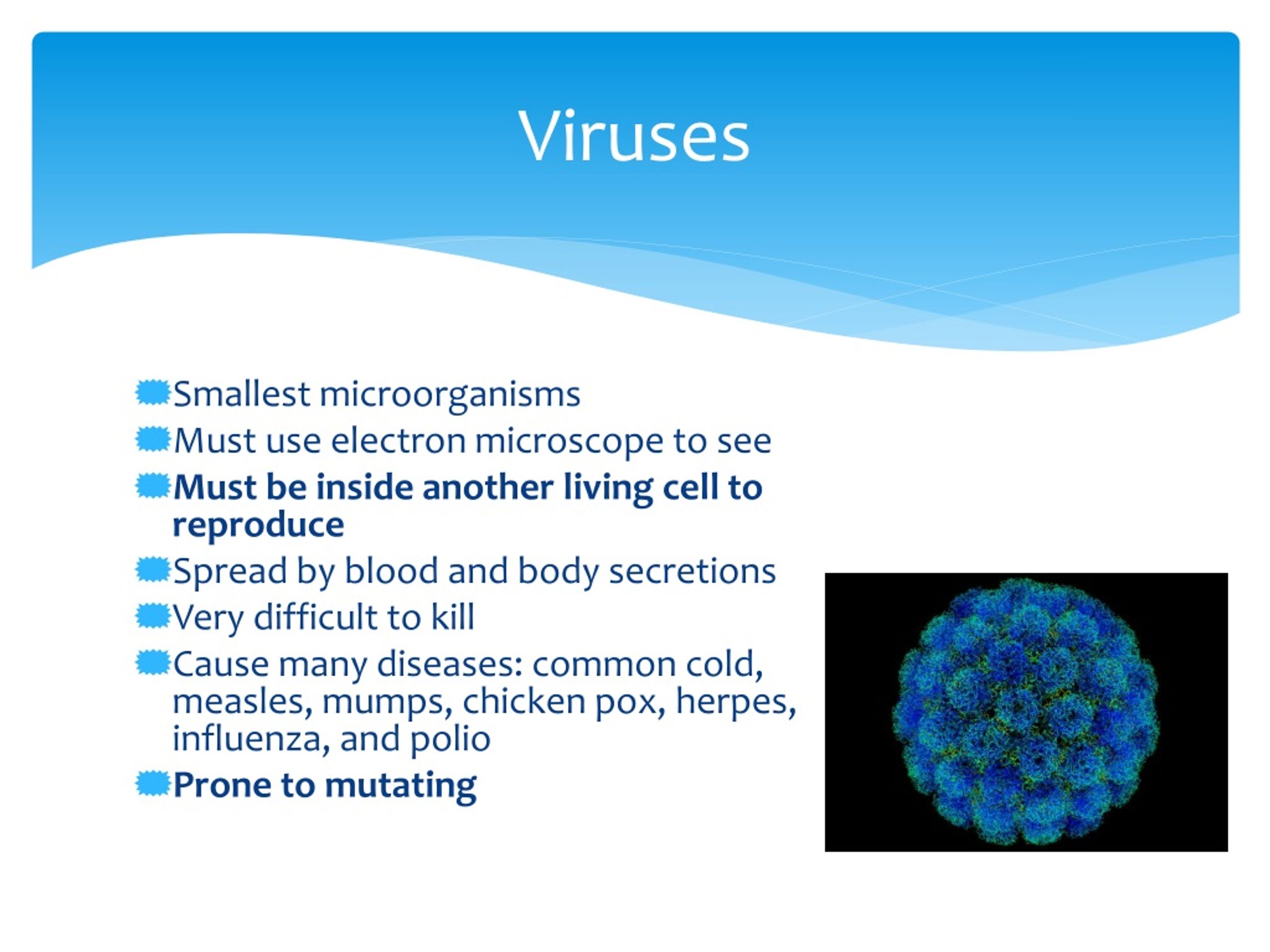 PPT Principles of Infection Control PowerPoint Presentation, free