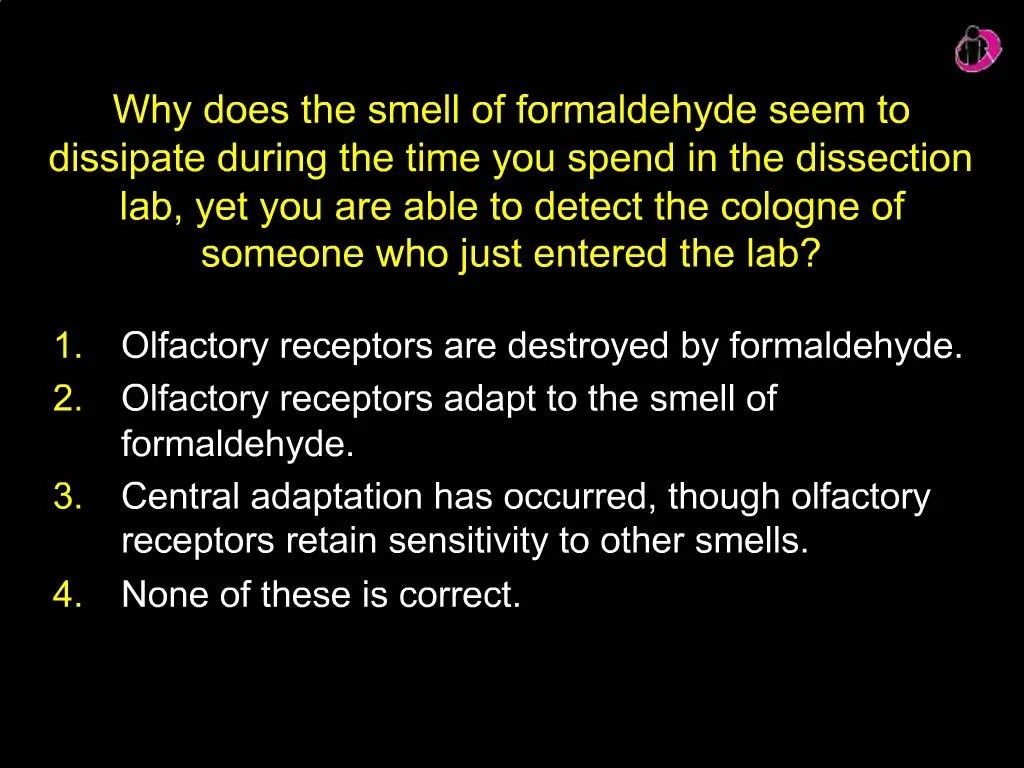 PPT Why does the smell of formaldehyde seem to dissipate during the