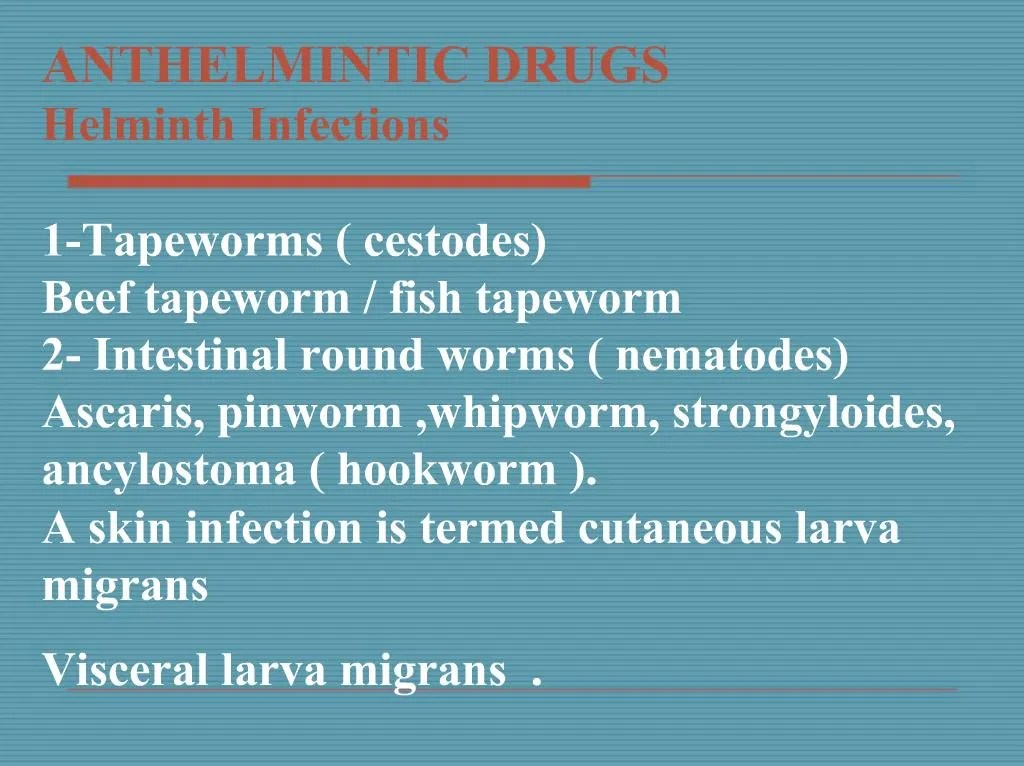 PPT ANTHELMINTIC DRUGS Helminth Infections 1Tapeworms cestodes Beef