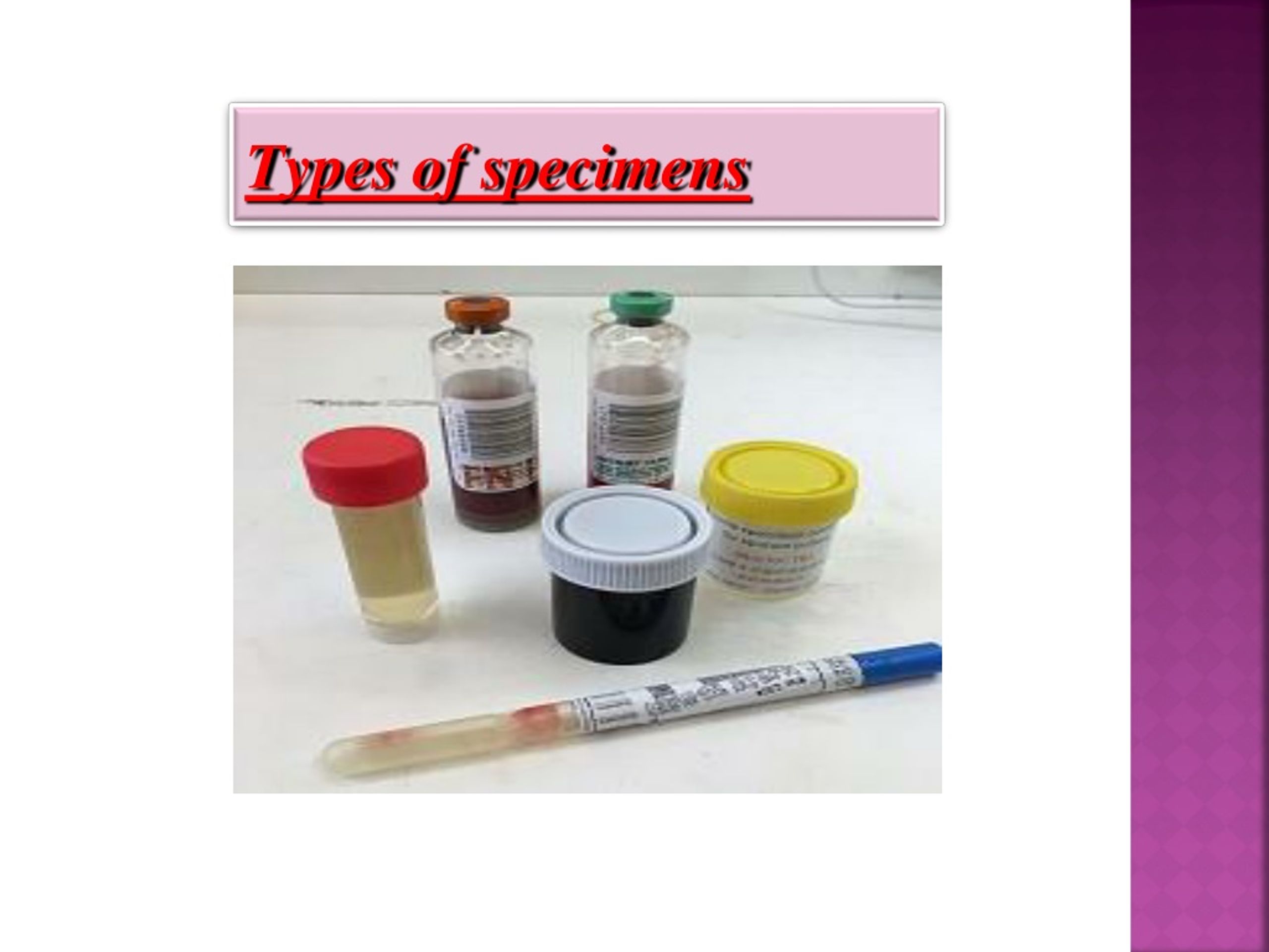PPT MICROBIOLOGY Practical Class PowerPoint Presentation, free