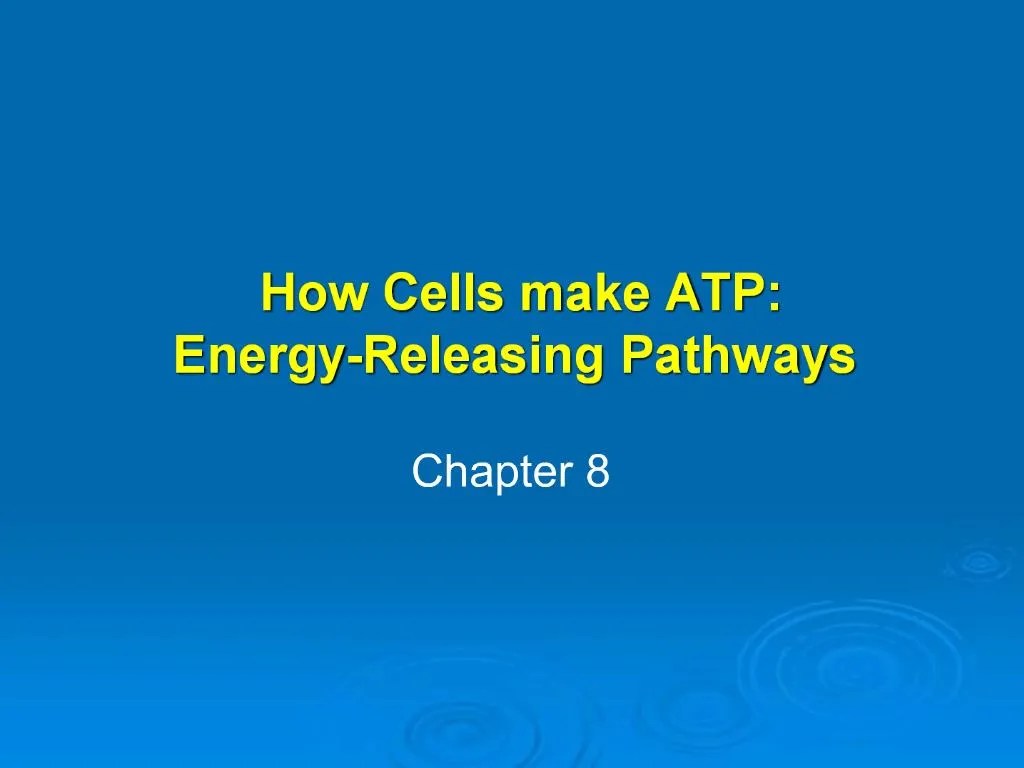 PPT How Cells make ATP EnergyReleasing Pathways PowerPoint